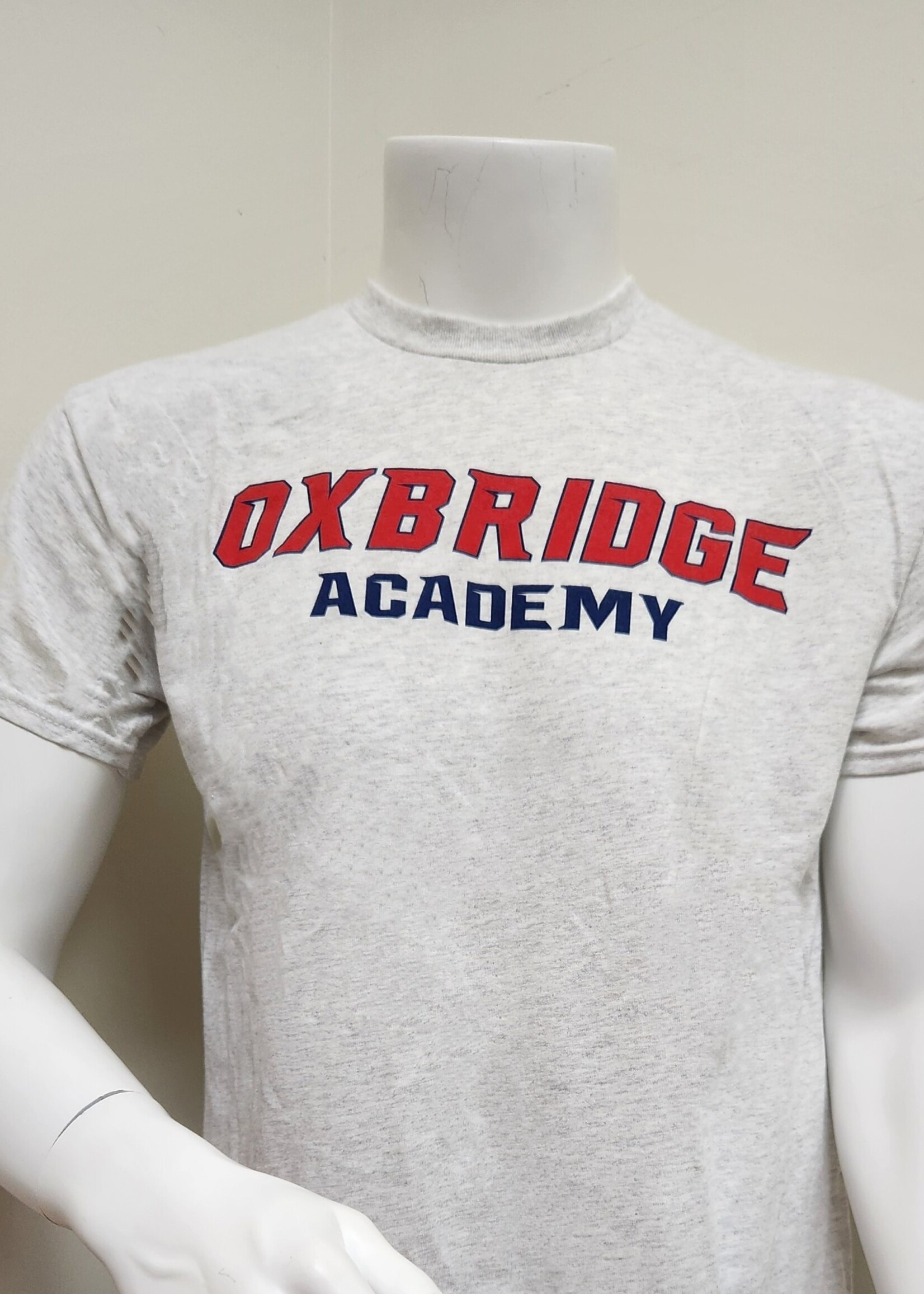 Gildan Cotton T-Shirts