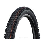 Schwalbe Albert Gravity Pro Radial Tire, 29 x 2.50 (63-622), Black, Tubeless Ready, Addix Ultra Soft, Folding