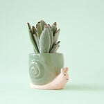 Jungle Club Small Snail Planter