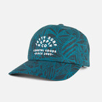 Jetty Shell Snapback - Tidal