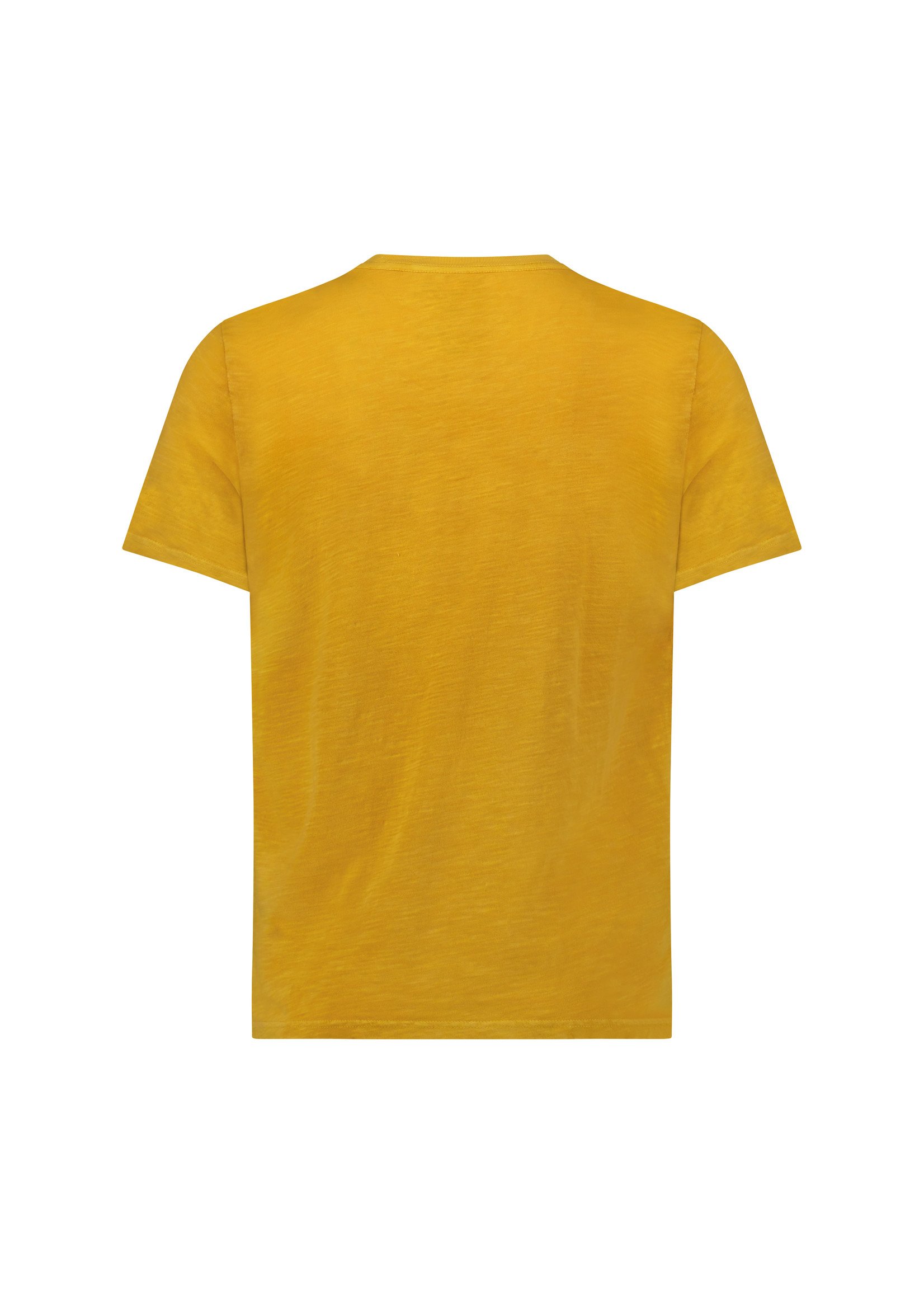 Pacifico Graphic Tee Yellow