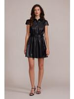 Eiza Mini Leather Dress Black