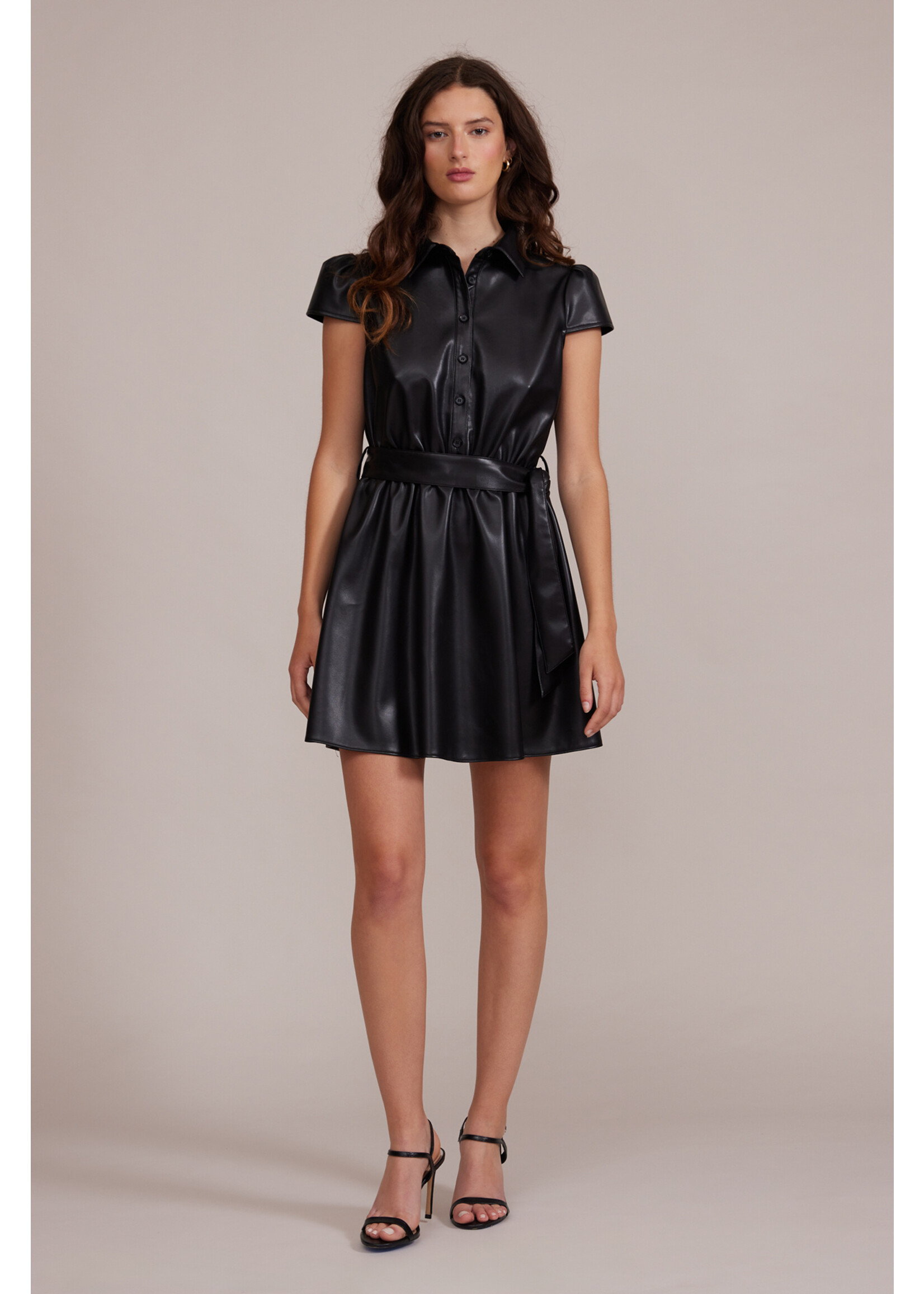 Eiza Mini Leather Dress Black