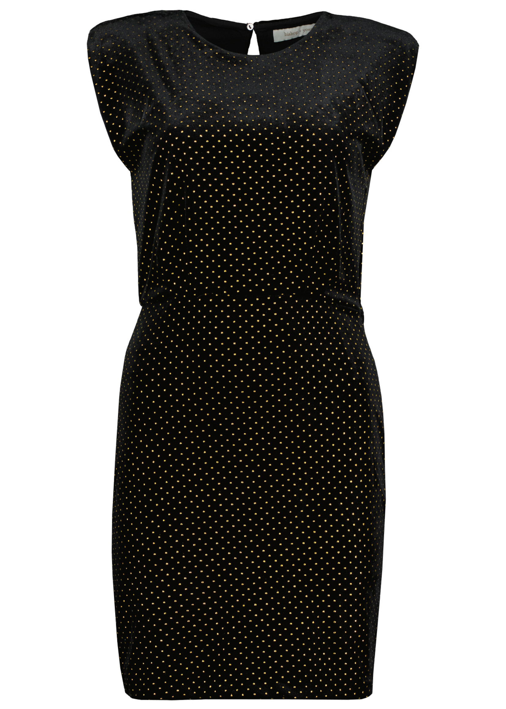 Hayden Velvet Dress