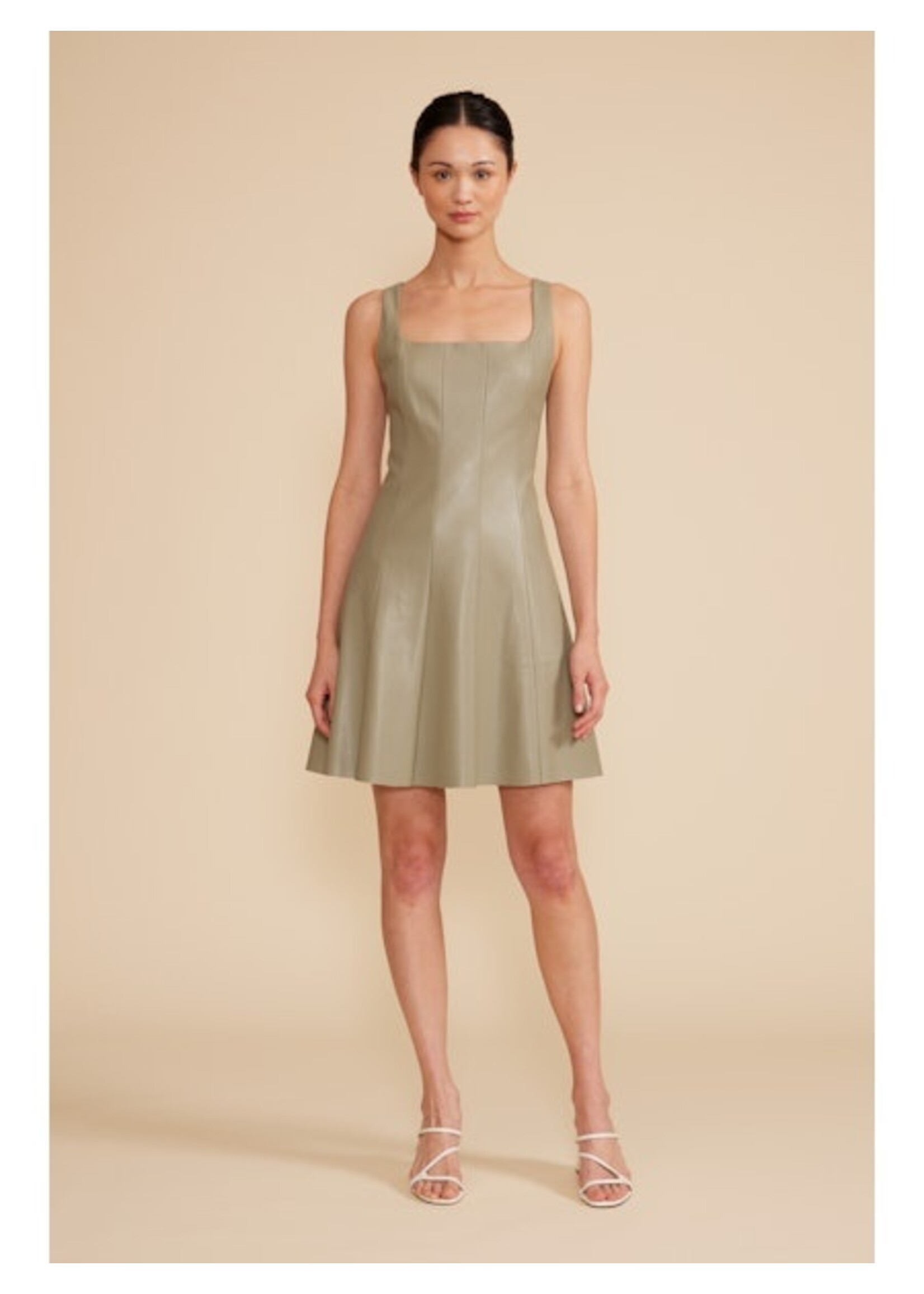 Misty Skater Leather Dress Sage