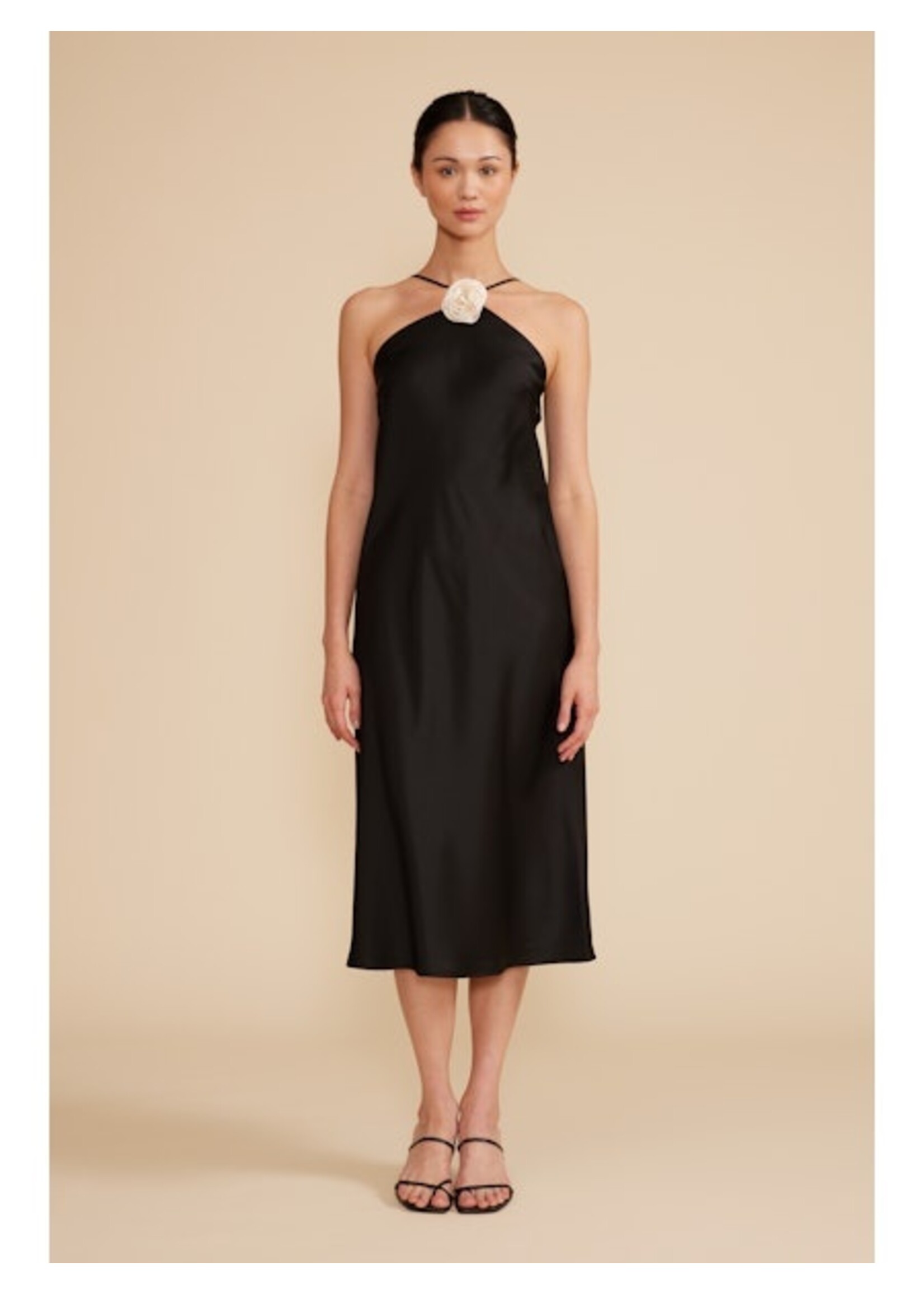 Jonah Halter Dress