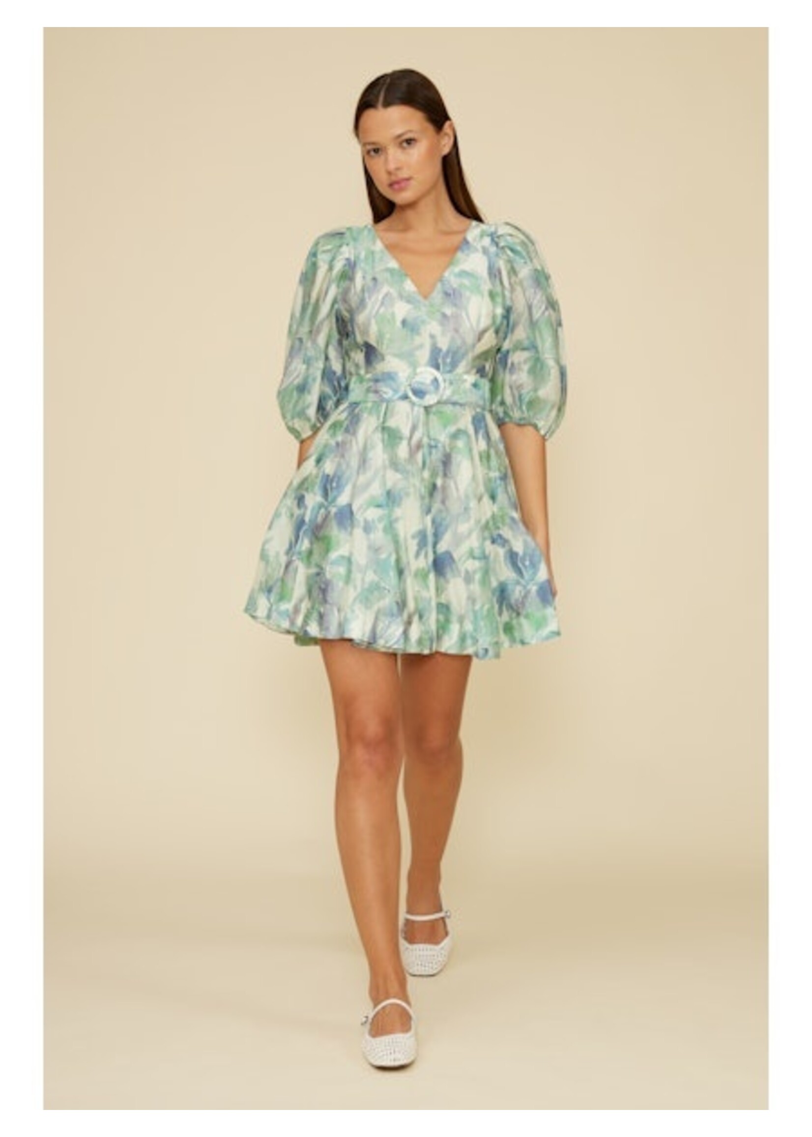 Alexis Poplin Dress