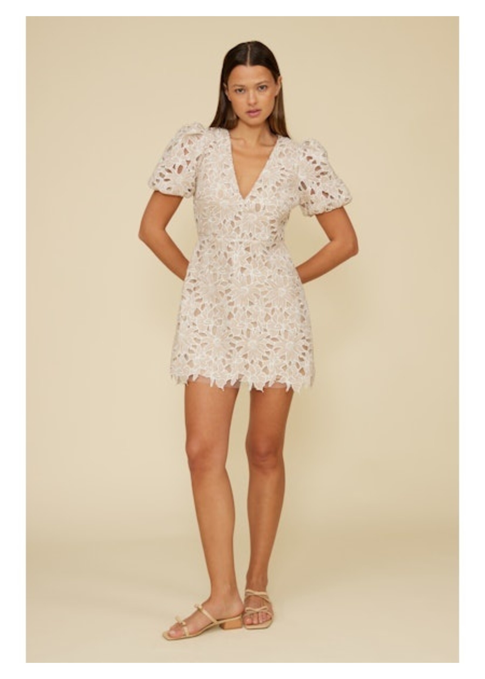 Karina Mini Lace Dress Beige