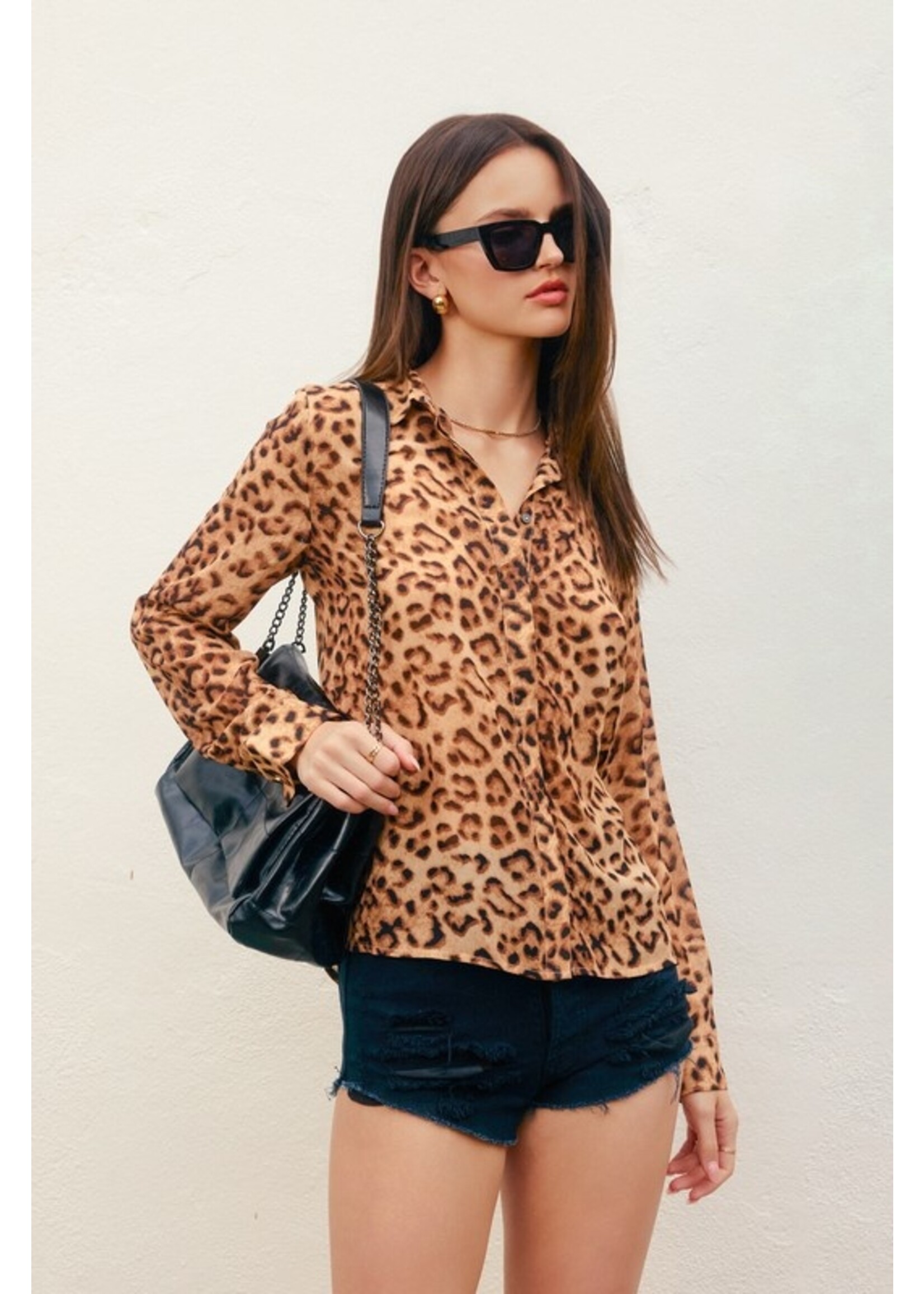 Running Toward Long Sleeve Collared Blouse Leopard