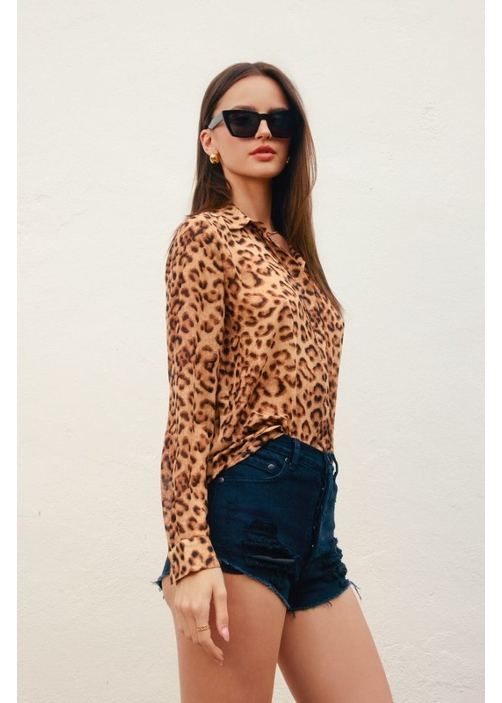 Running Toward Long Sleeve Collared Blouse Leopard