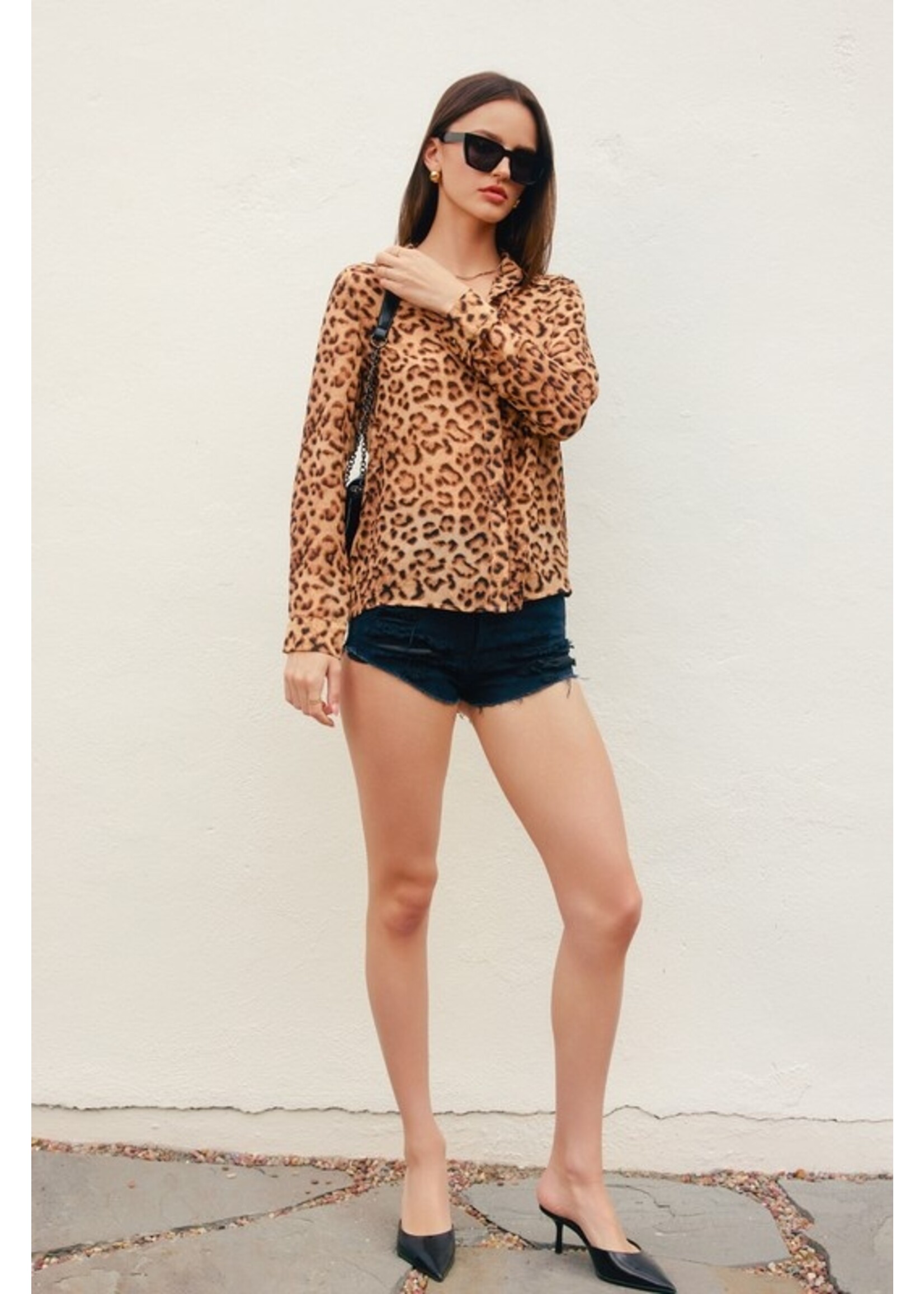 Running Toward Long Sleeve Collared Blouse Leopard