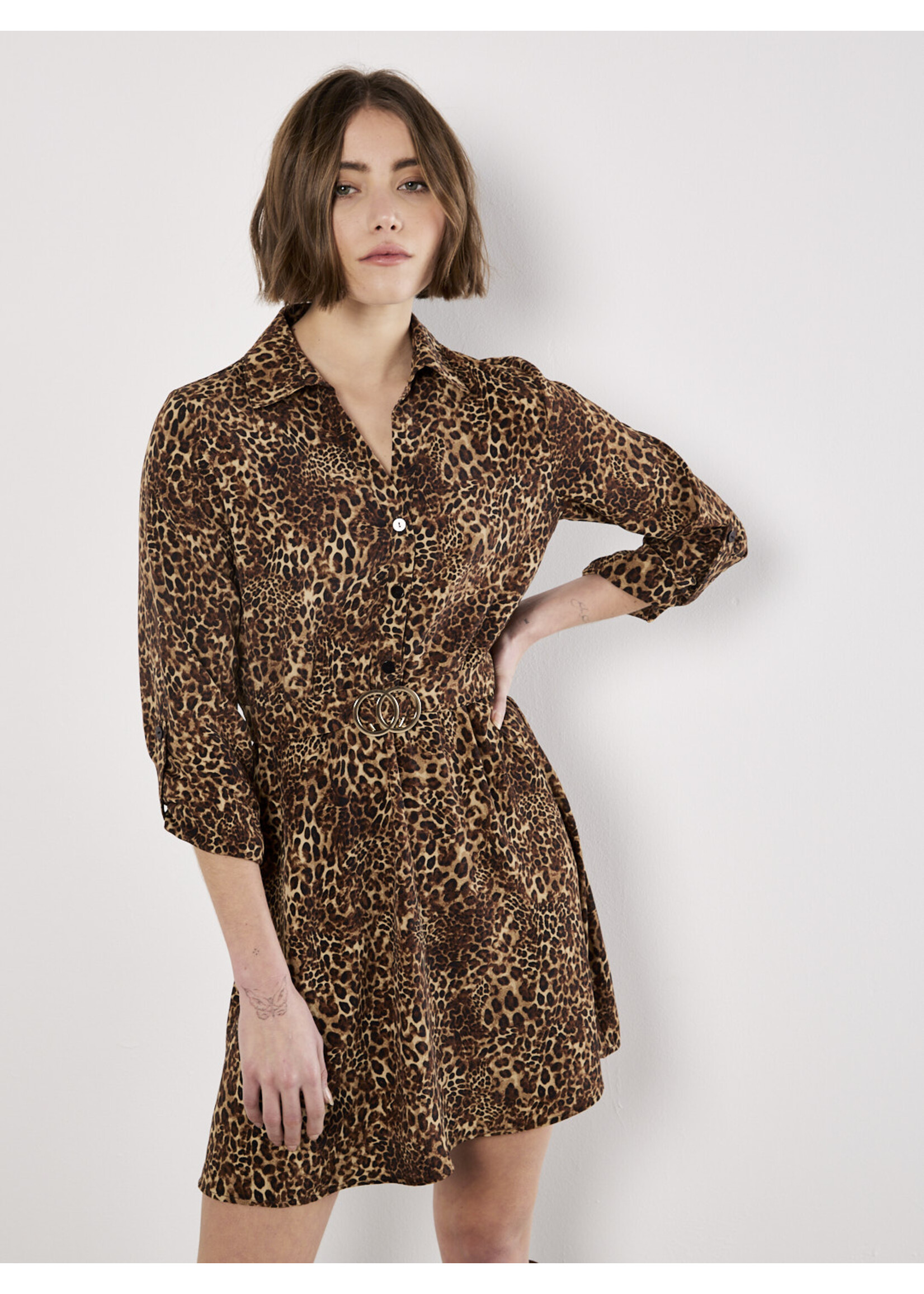 Ombre Animal Print w/ Belt Mini Dress Brown