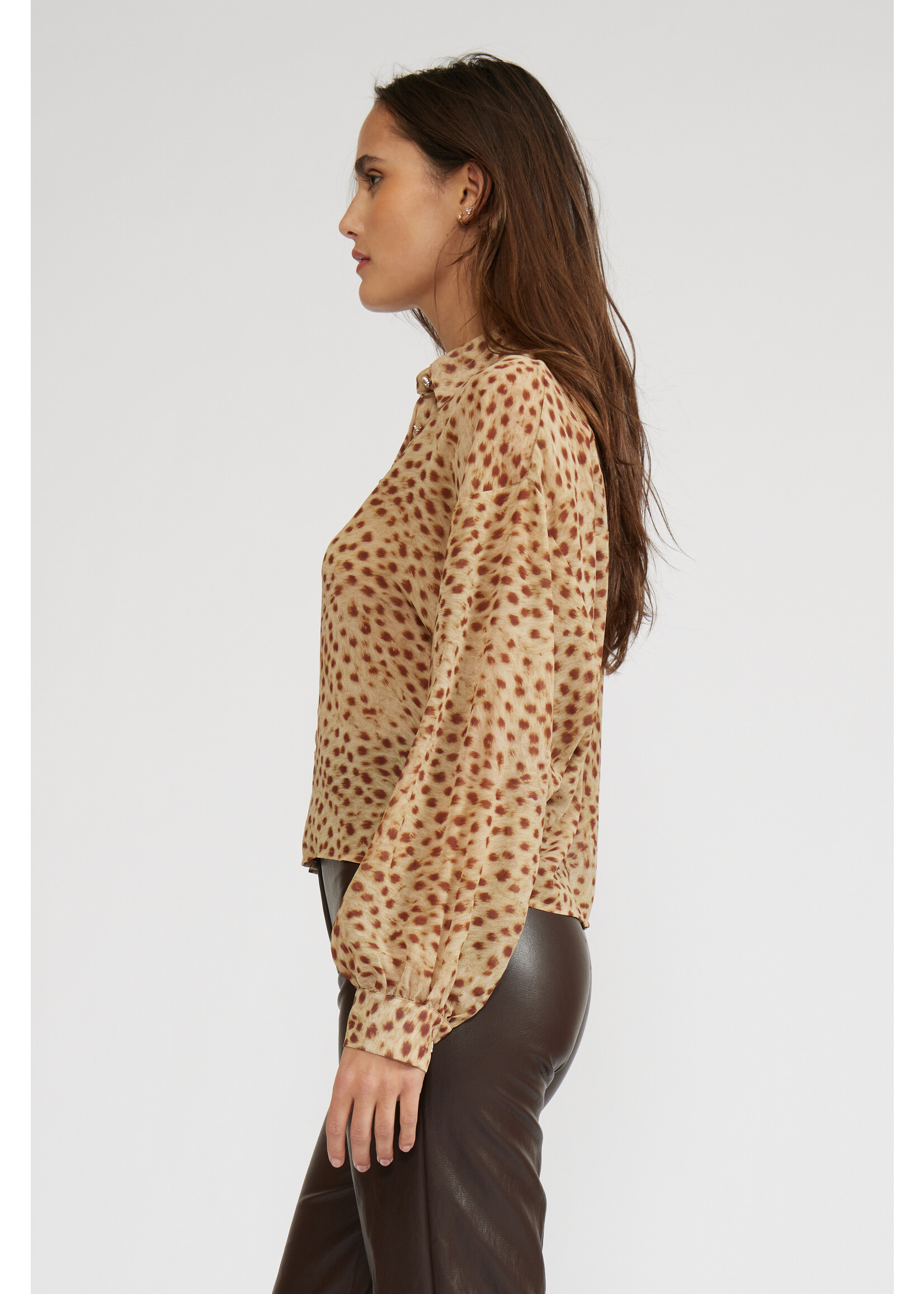 Marla Animal Long Sleeve Top Cheetah