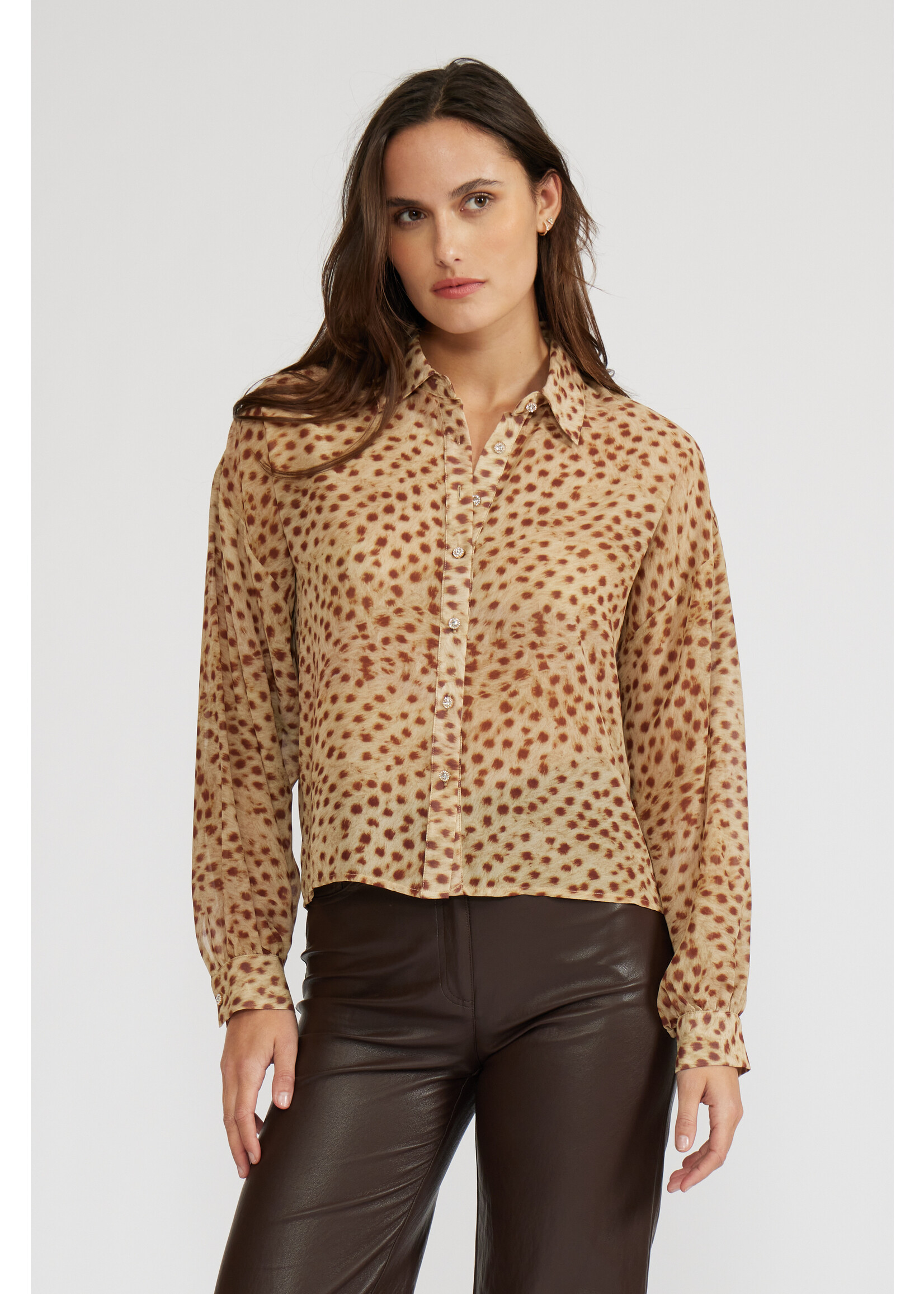 Marla Animal Long Sleeve Top Cheetah