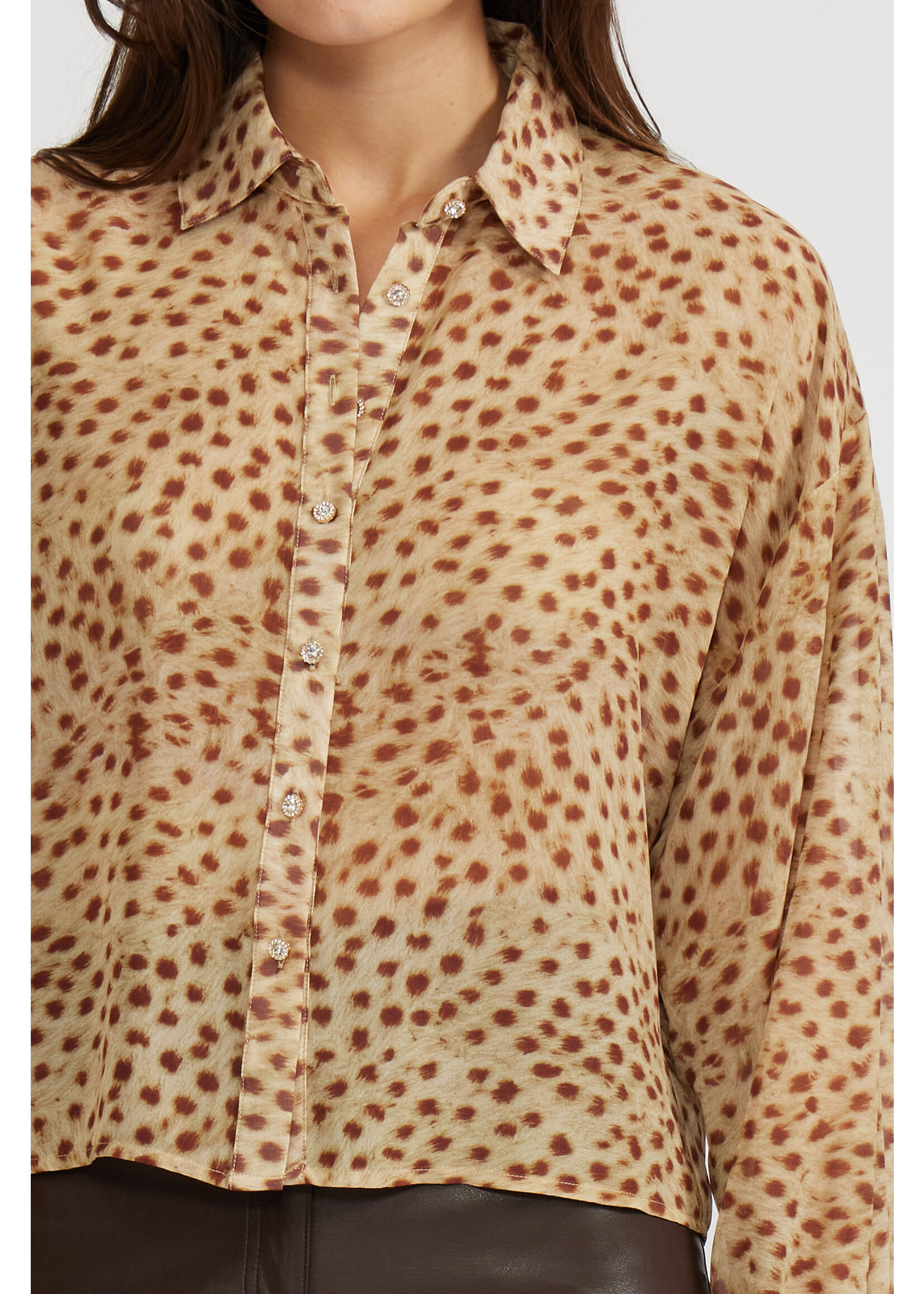 Marla Animal Long Sleeve Top Cheetah