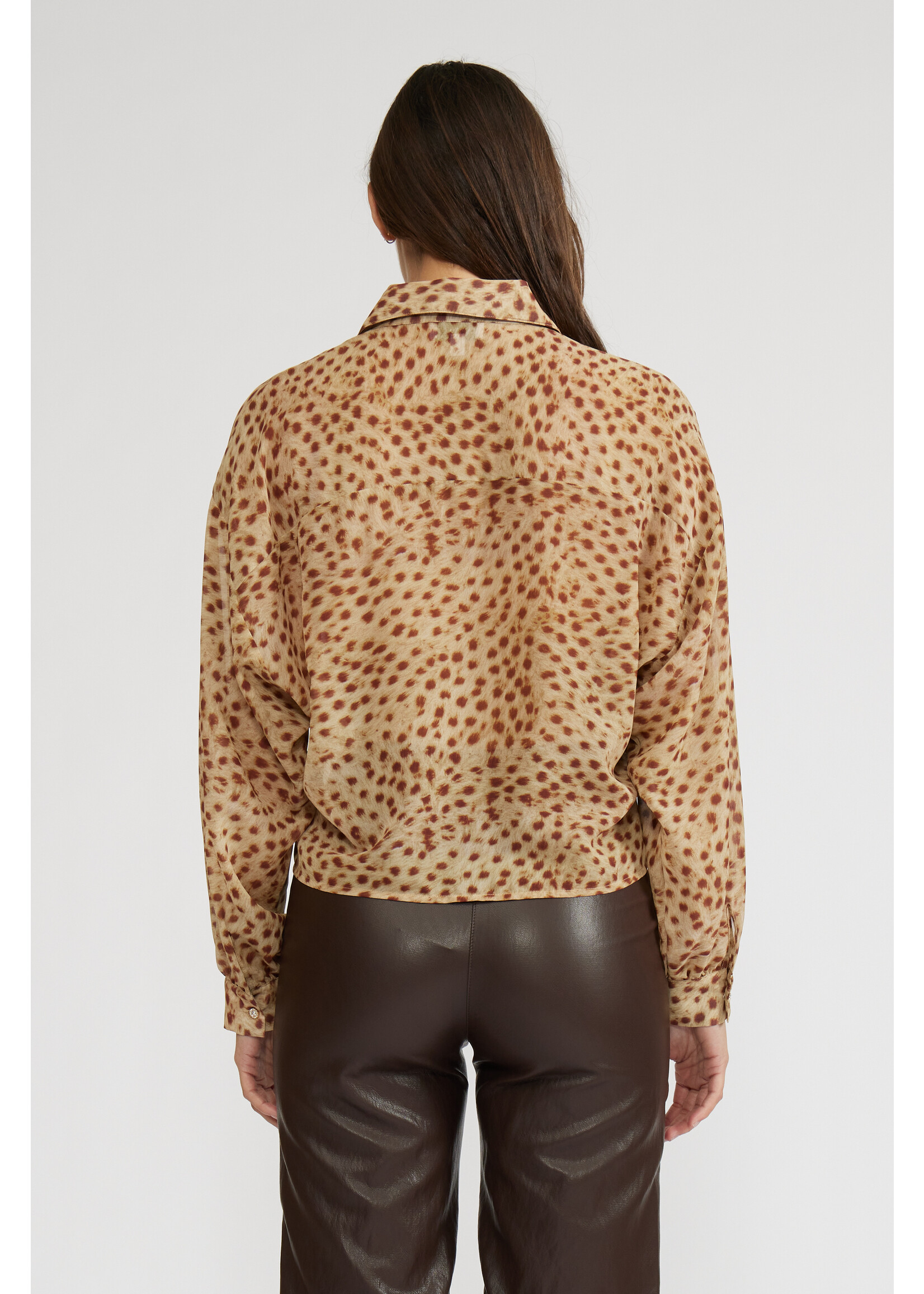 Marla Animal Long Sleeve Top Cheetah