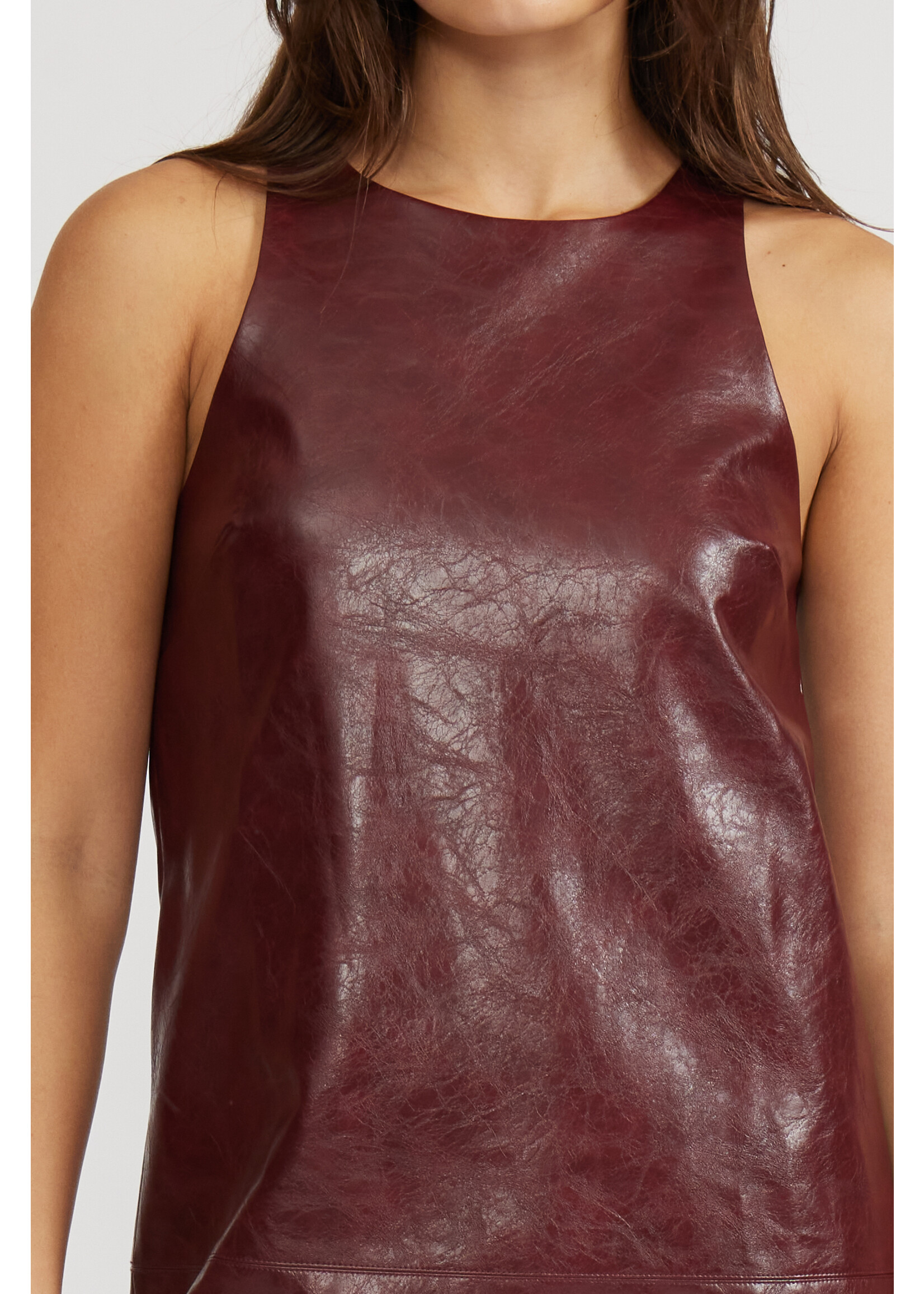 Onyx Faux Leather Mini Dress Burgundy