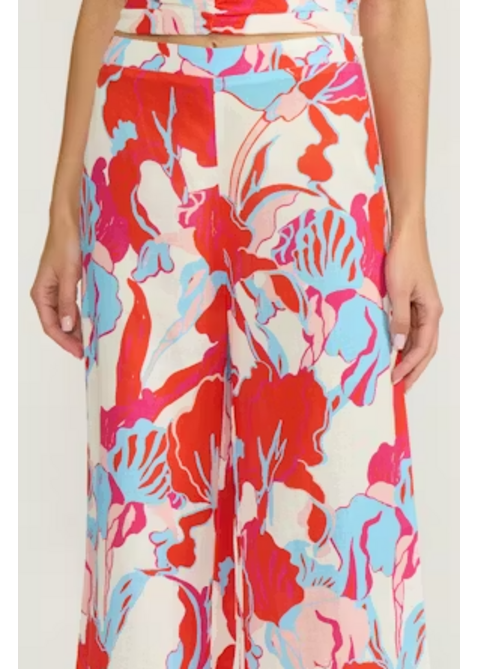 Daria Printed Pant Multi