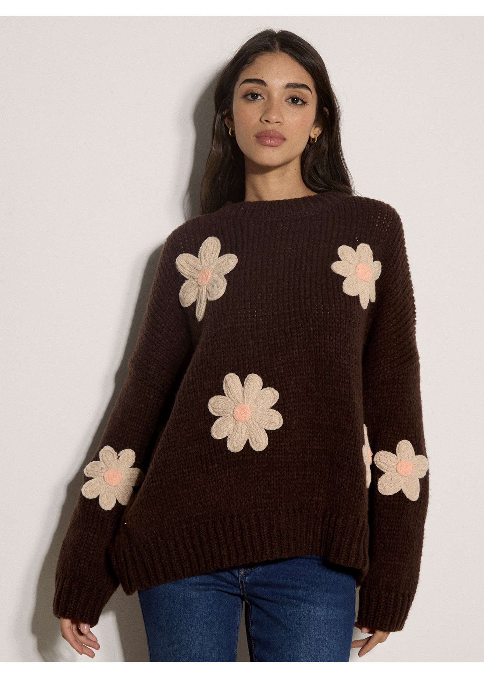 Embroidered Pure Daisy Sweater Brown
