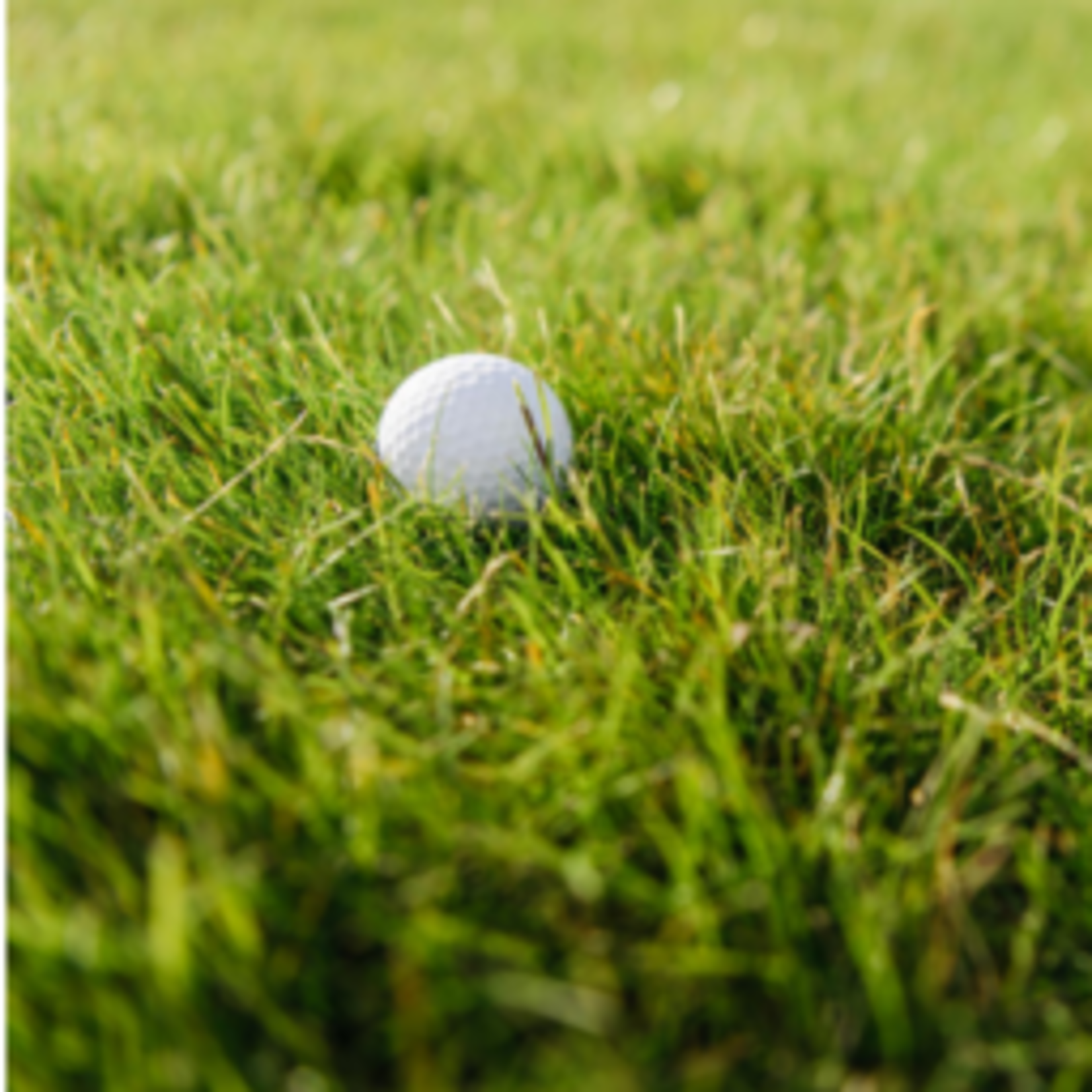 MEMBRE - 7 jrs 2026 - MEMBRE - 7JRS