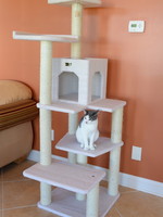 Armarkat Armarkat Galaxy Approved Six Level Condow/Perches Cat Tree Ivory