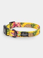 Leeds Leeds Luau Collar Large