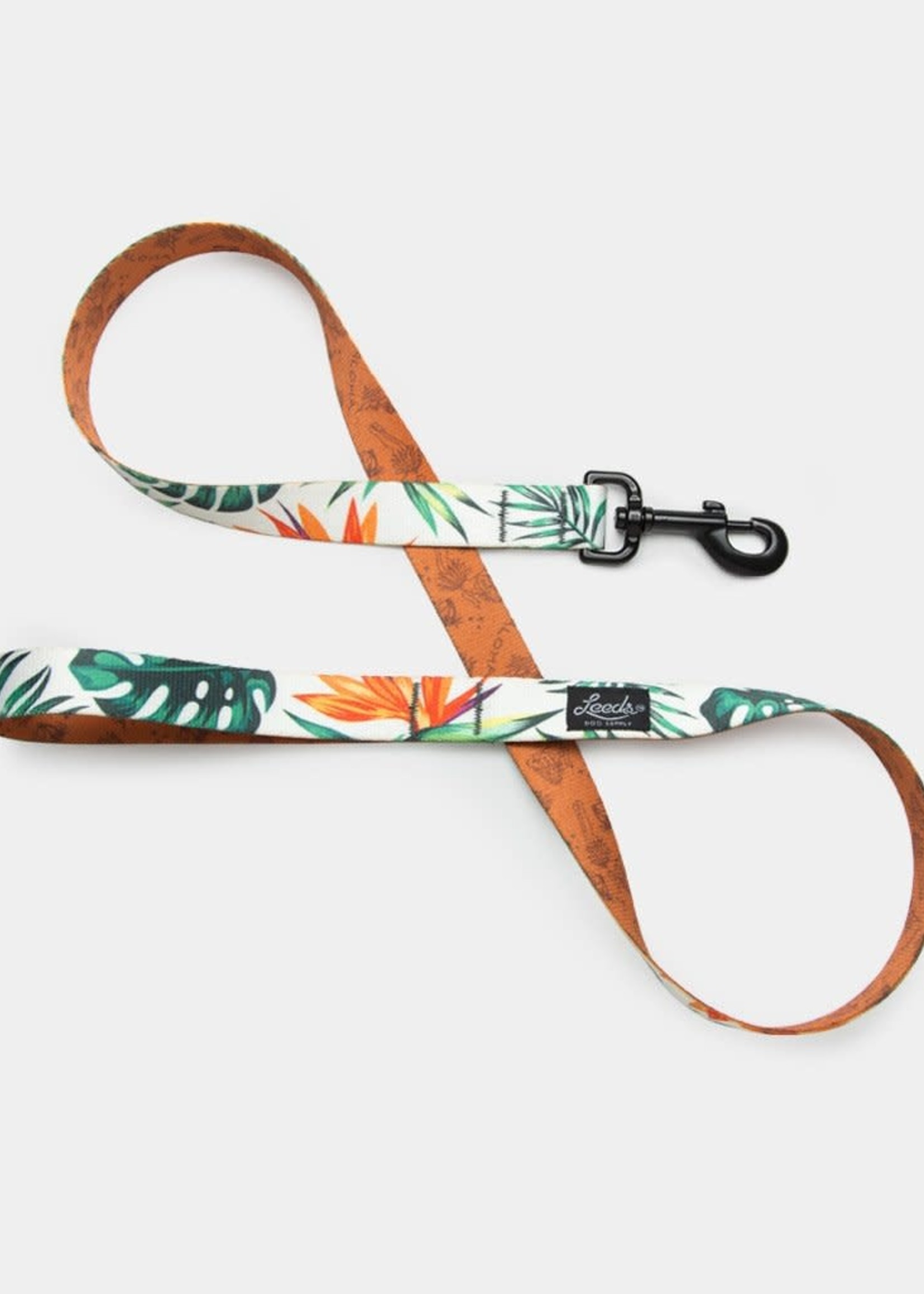 Leeds Leeds Tropicana Leash Medium 4ft