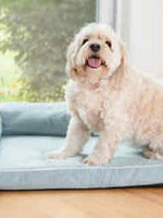 Armarkat Armarkat Med Bolstered Pet Bed Cushion w/Poly Fill Cushion Soothing Blue