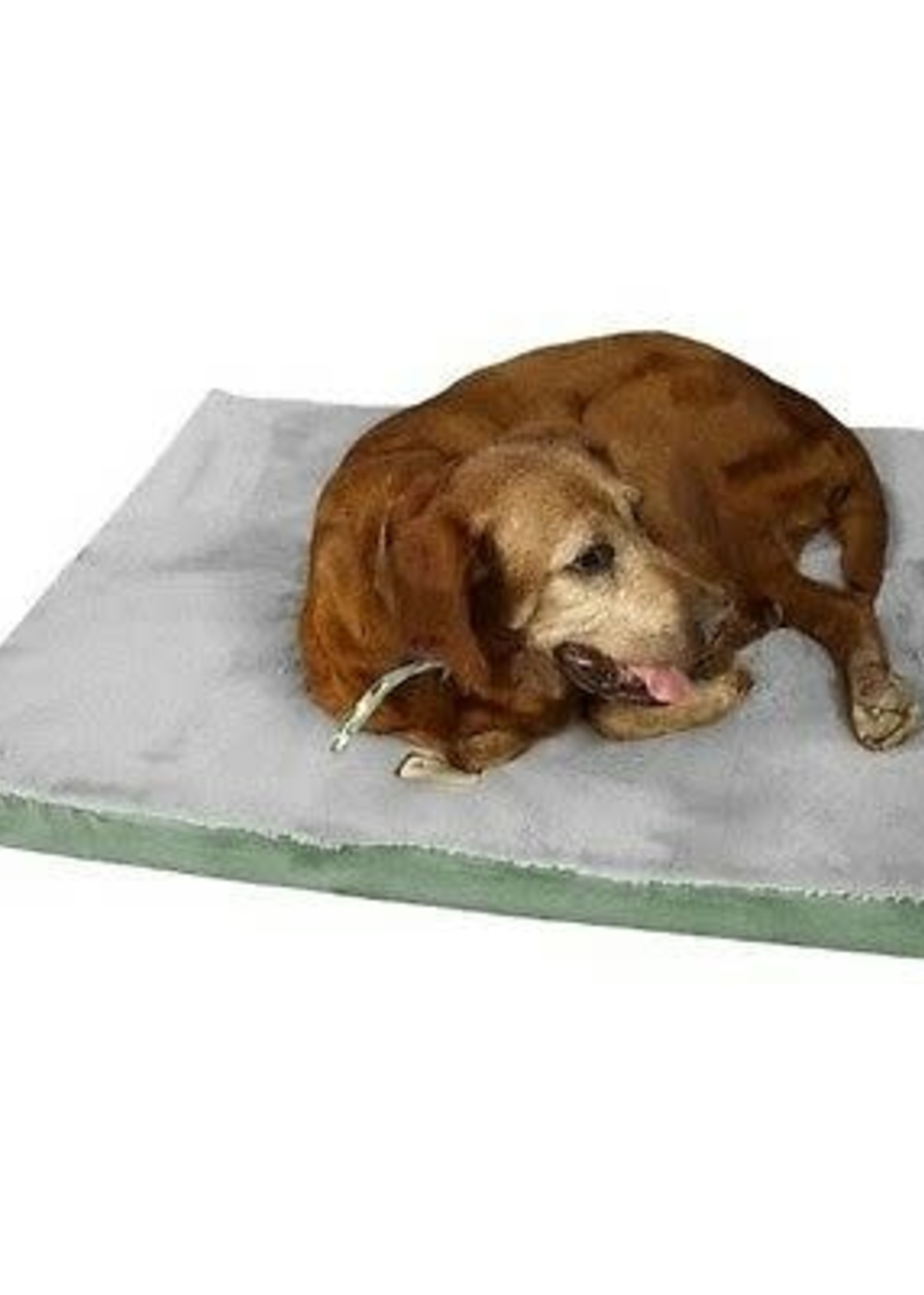 Armarkat Armarkat Small Memory Foam Orthopedic Dog Bed/Mat Sage Green/Grey