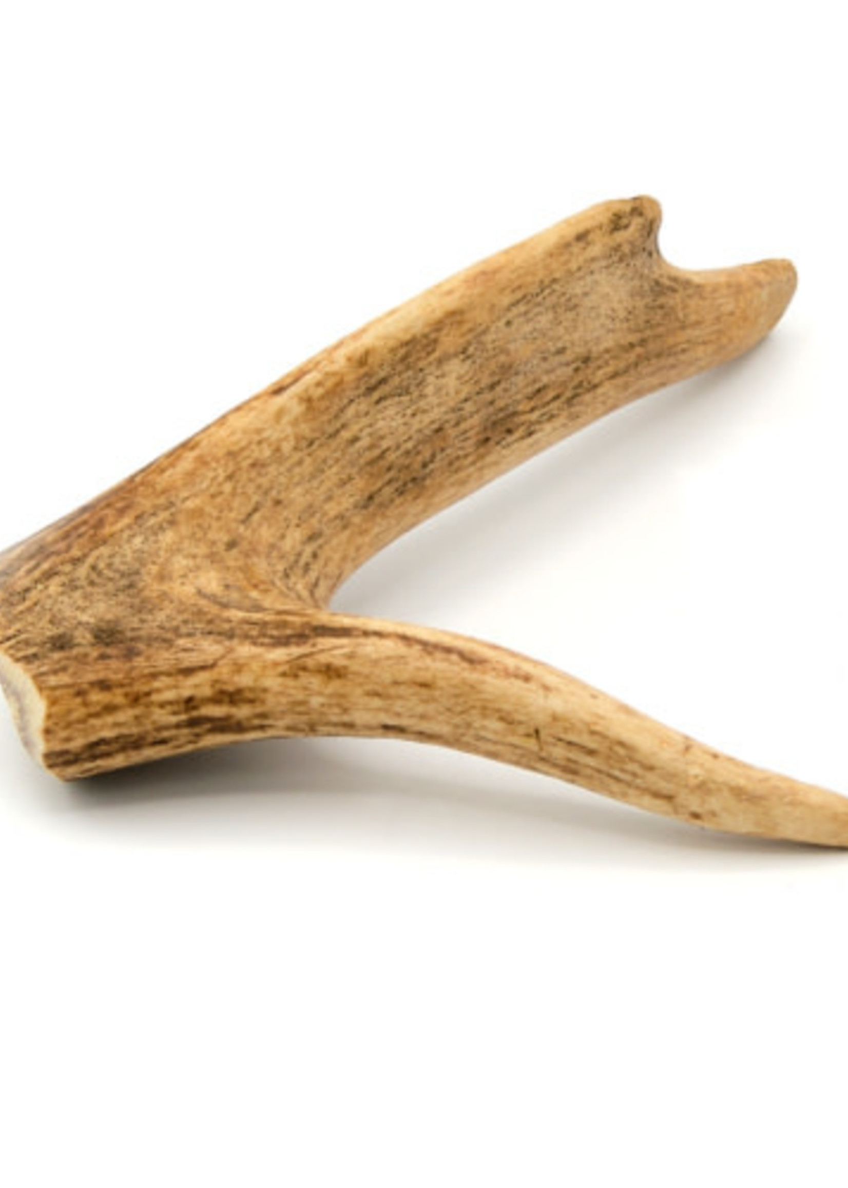 Little Loyals Little Loyals - Whole Deer Antler Dog Chew - XS