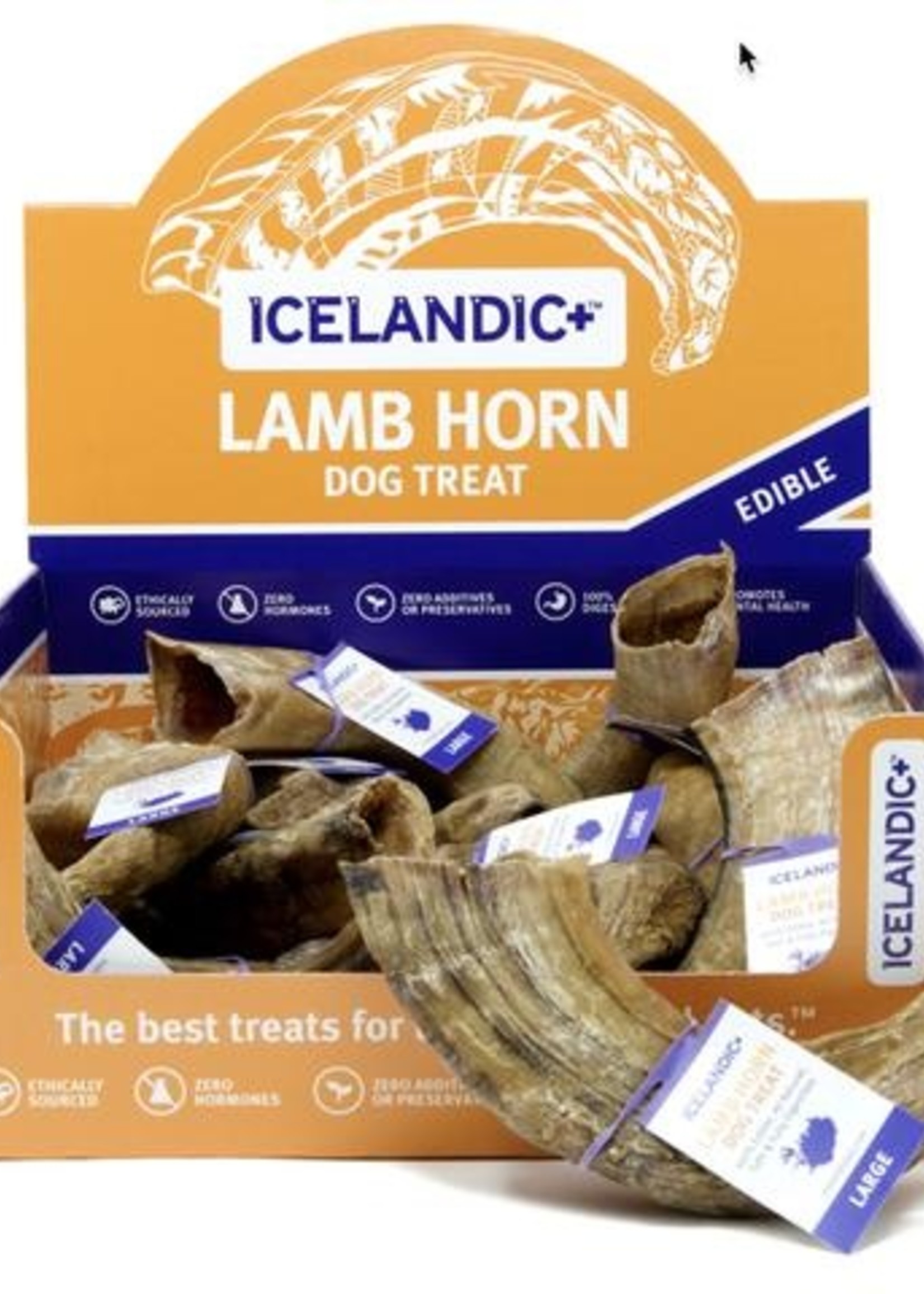 Icelandic+ Icelandic Lamb Horn Large