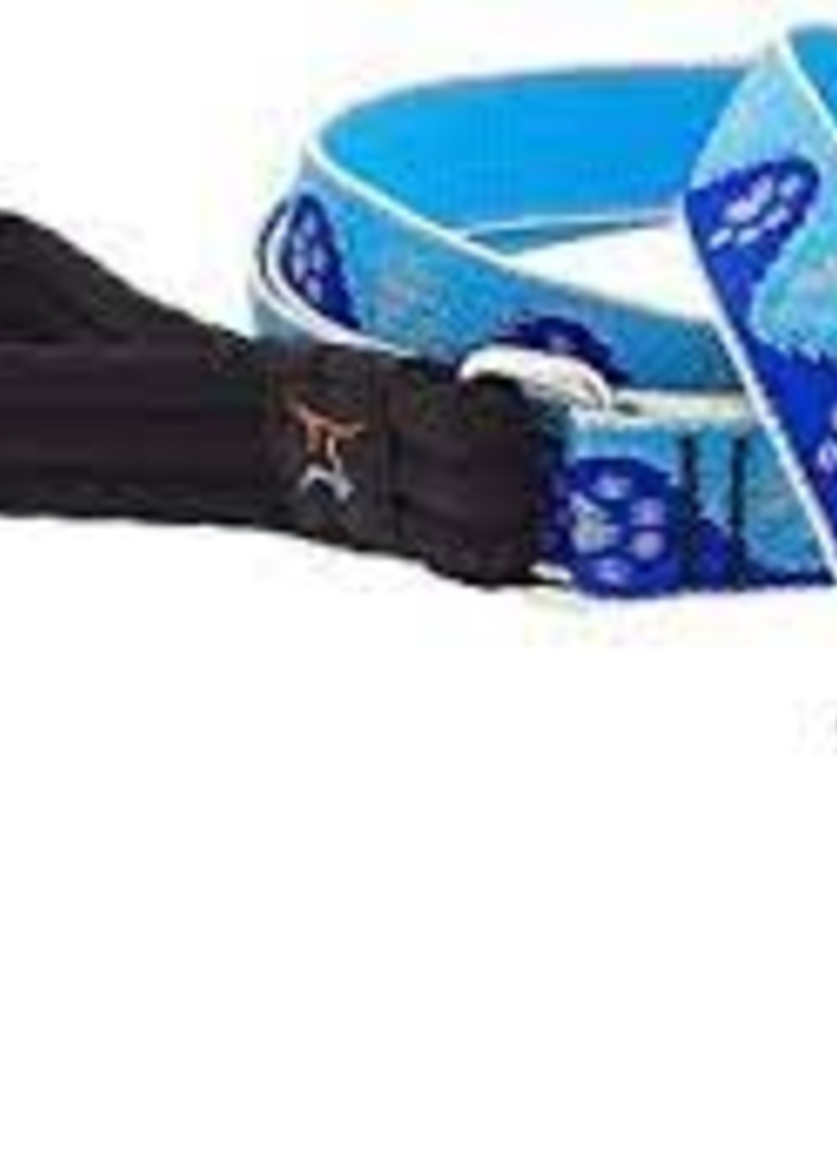 LupinePet Lupine 3/4in Blue Paws Reflective 6ft Leash