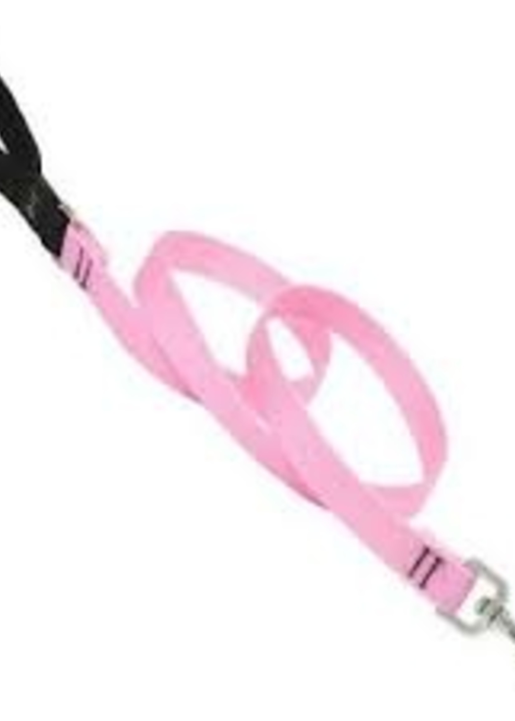 LupinePet Lupine 3/4in Pink 6ft Leash