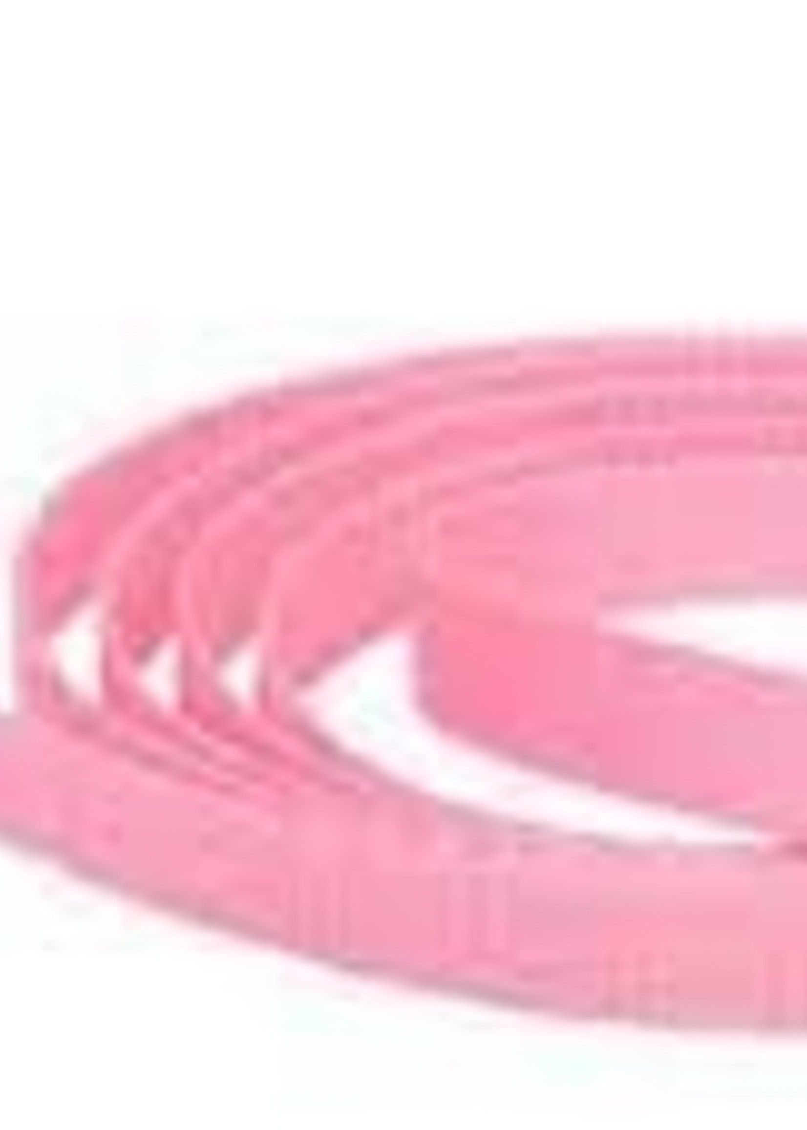 LupinePet Lupine 1/2in Pink 6ft Leash