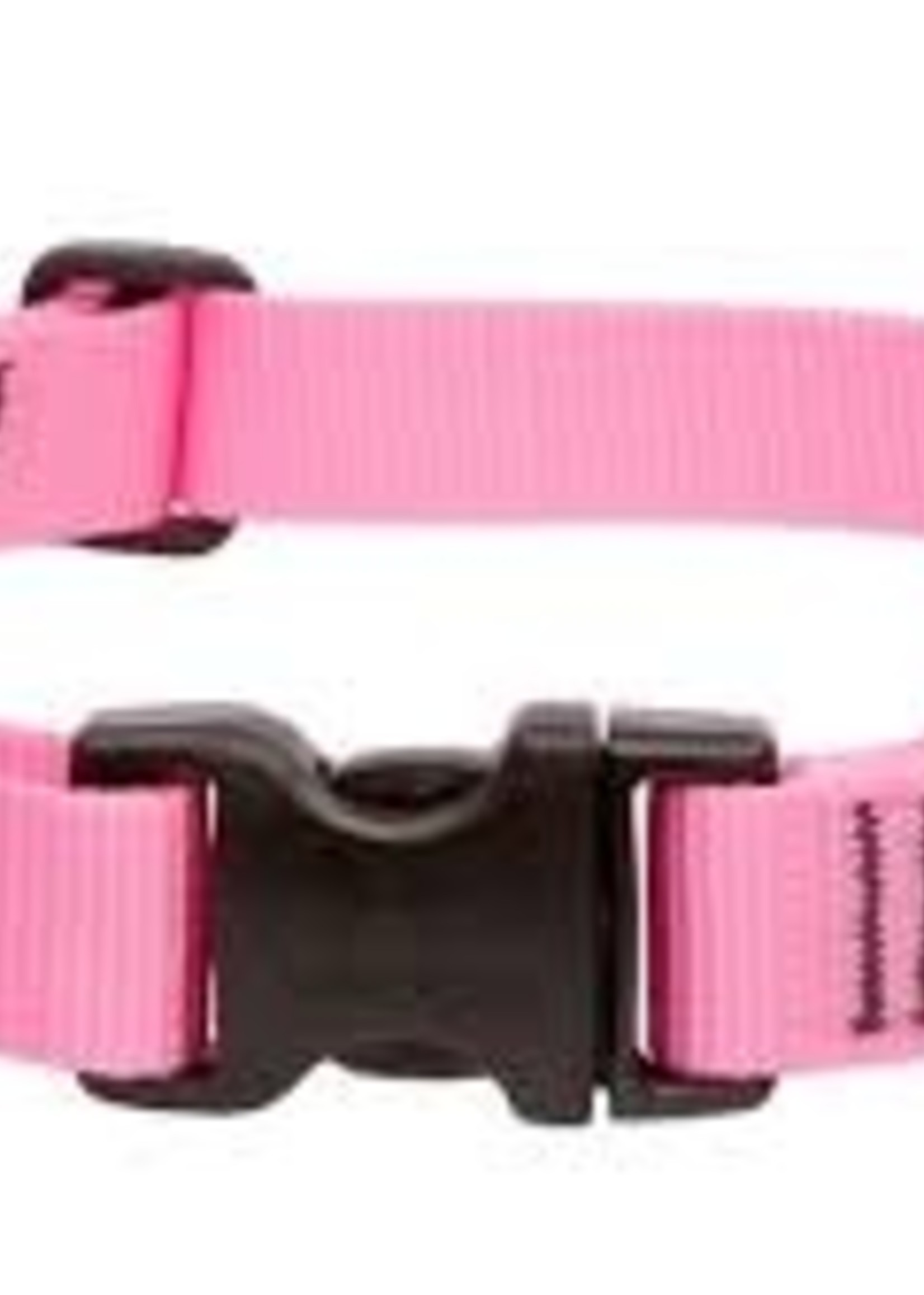 LupinePet Lupine 1in Pink 12-20 Adj Collar