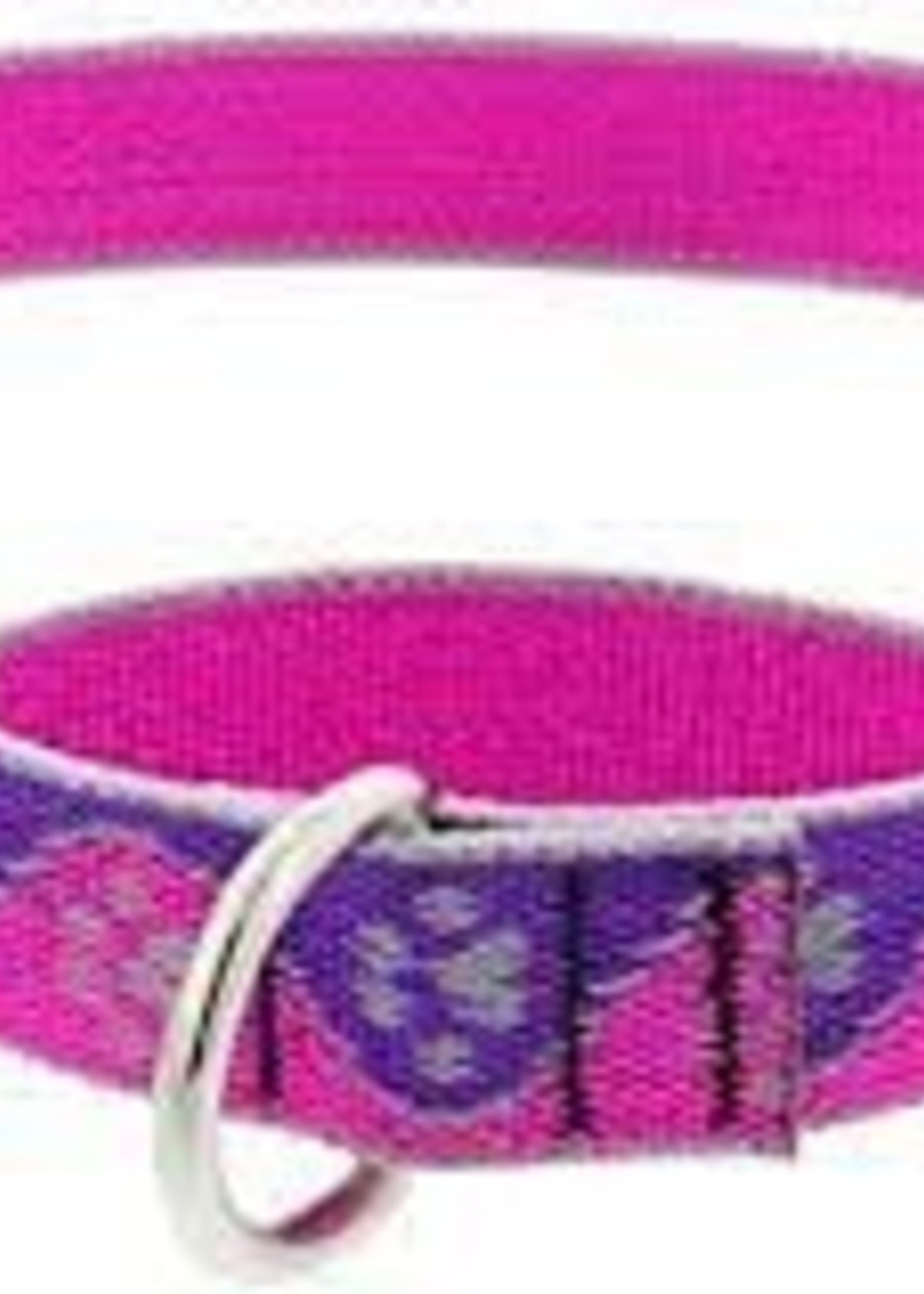LupinePet Lupine 3/4in Pink Paws Reflective 13-22 Adj Collar