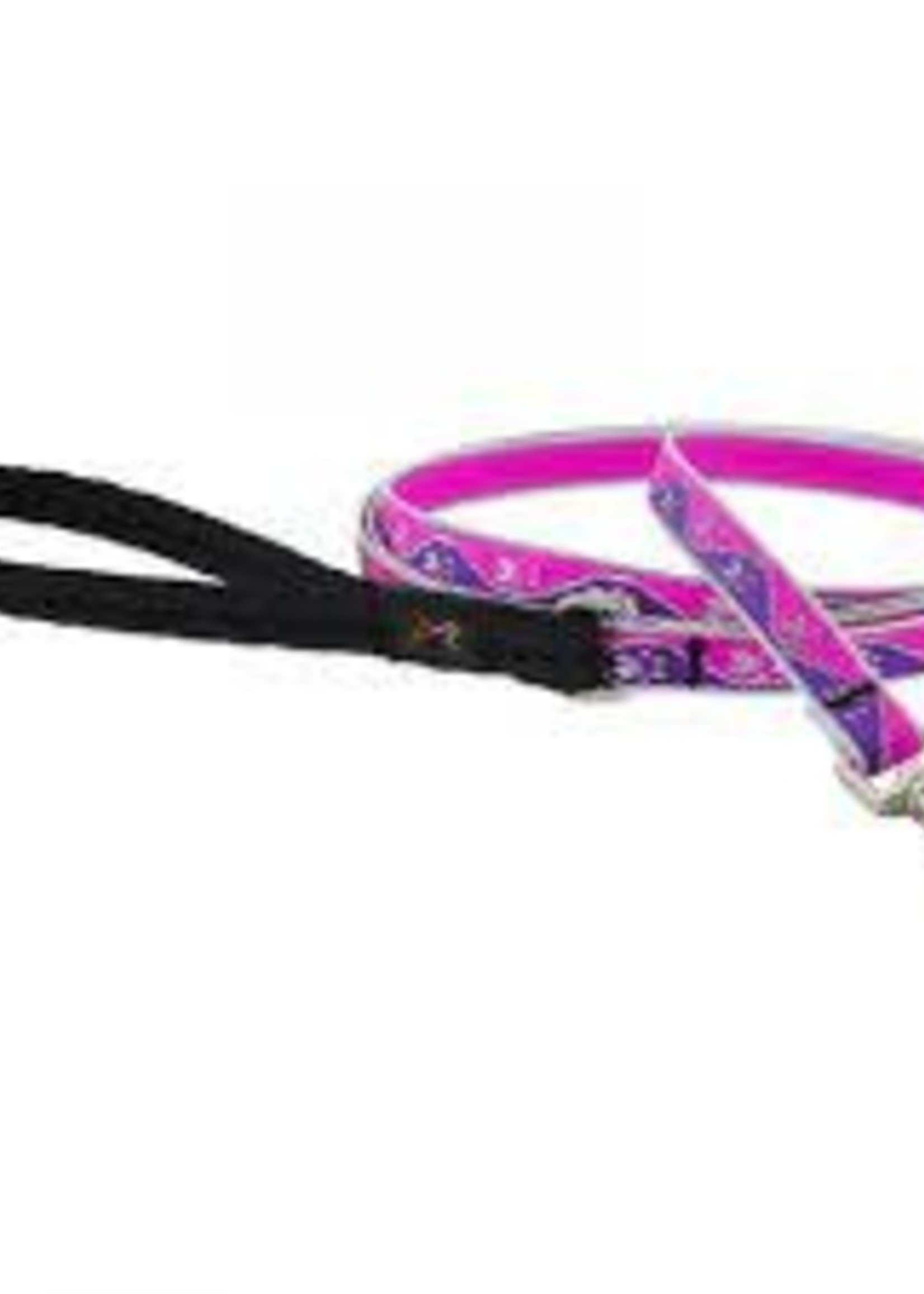 LupinePet Lupine 3/4in Pink Paws Reflective 6ft Leash