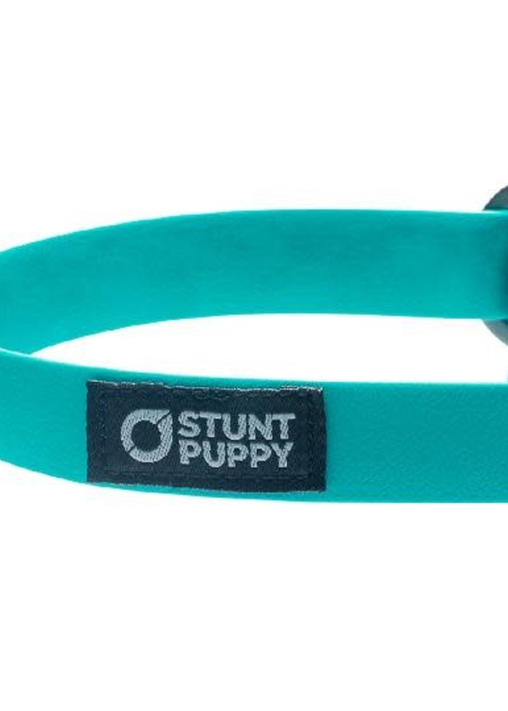 Stunt Puppy Dry Collar Teal 1"