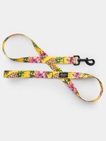 Leeds Leeds Luau Leash Small 4ft