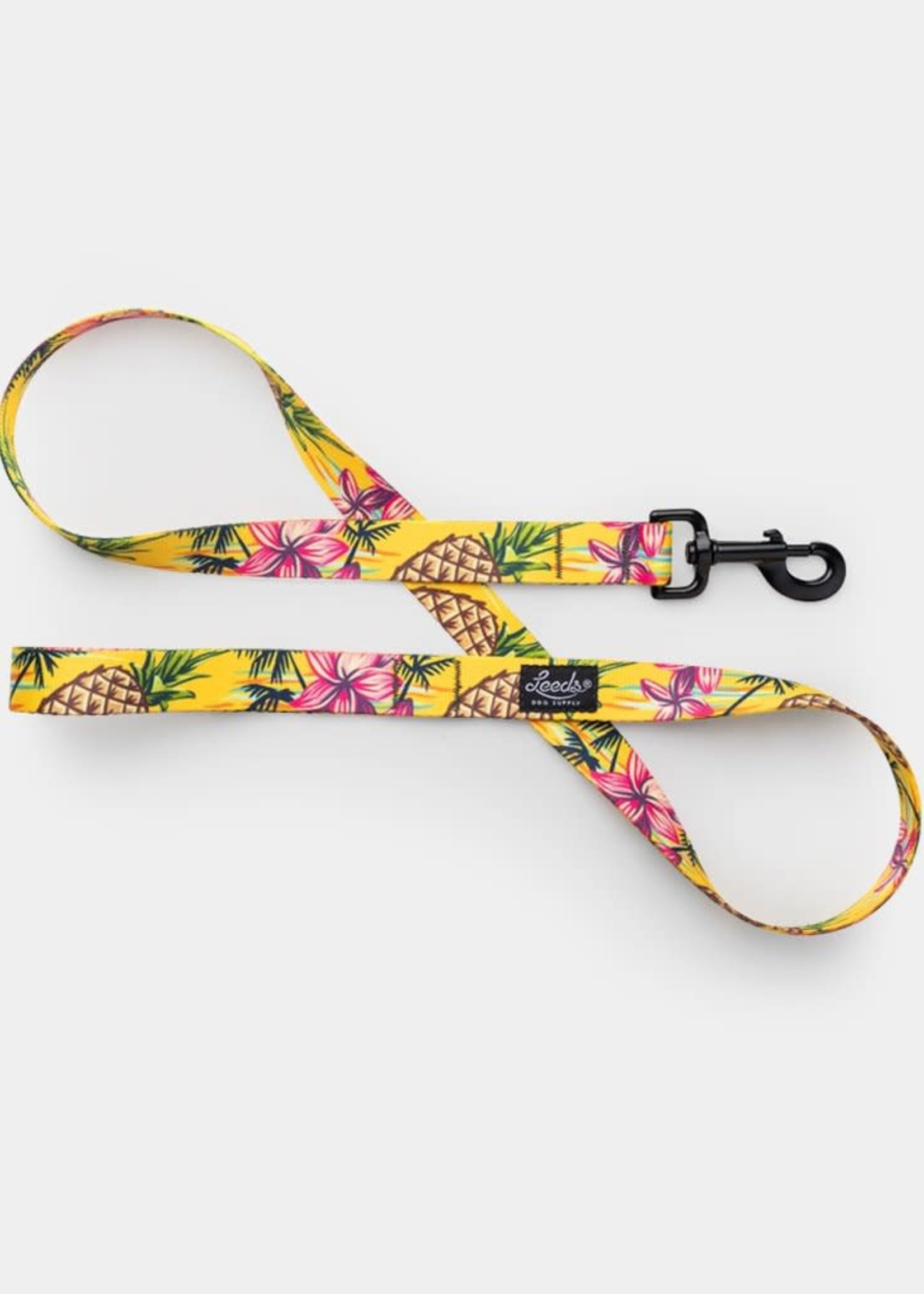 Leeds Leeds Luau Leash Small 4ft