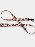 Leeds Leeds CoCo Leash Small 4ft