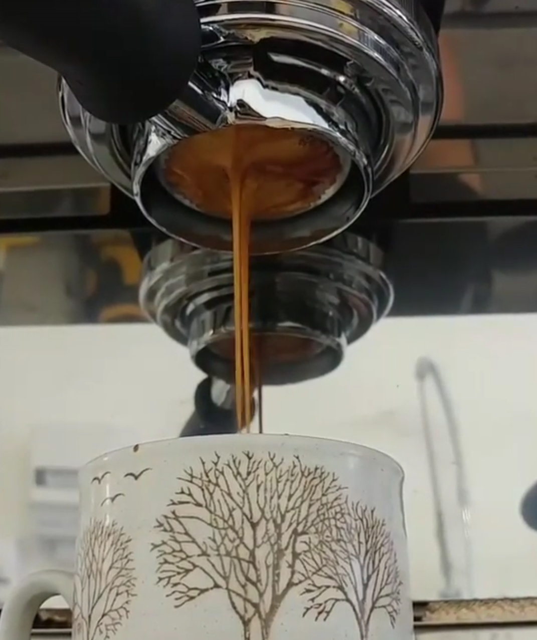 espresso pours from an non-spouted portafilter of an espresso machine