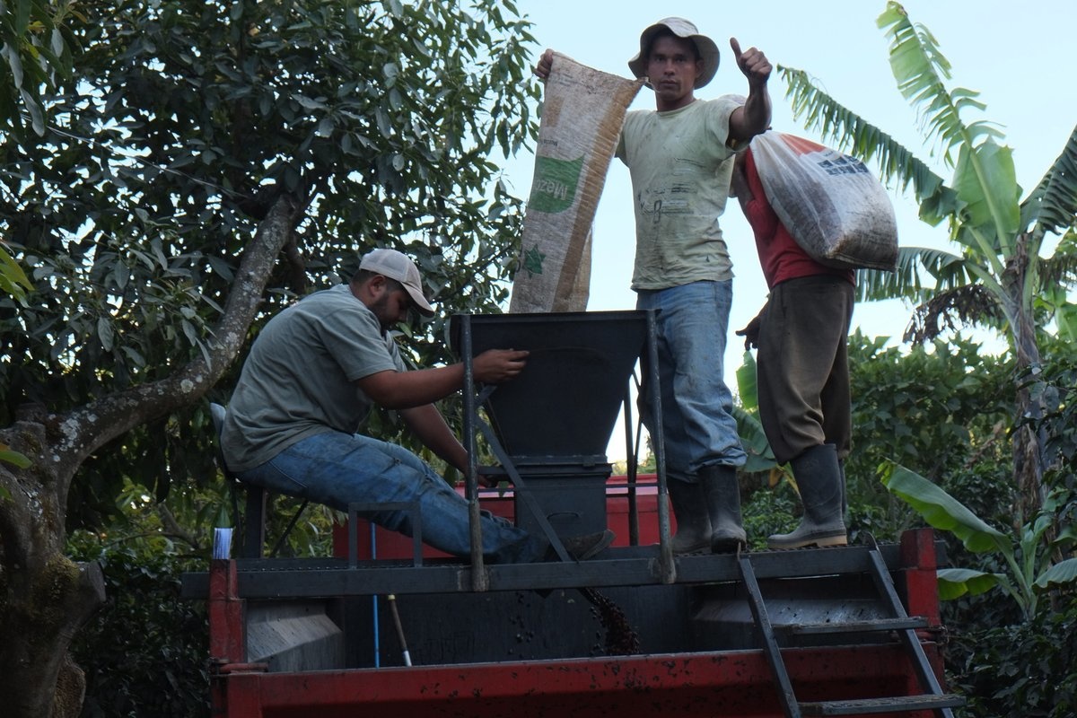 The Solis family working on their coffee farm