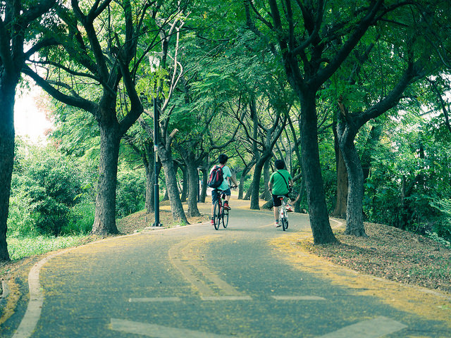 Two youths bike away from the camera down a tree-covered park trail.