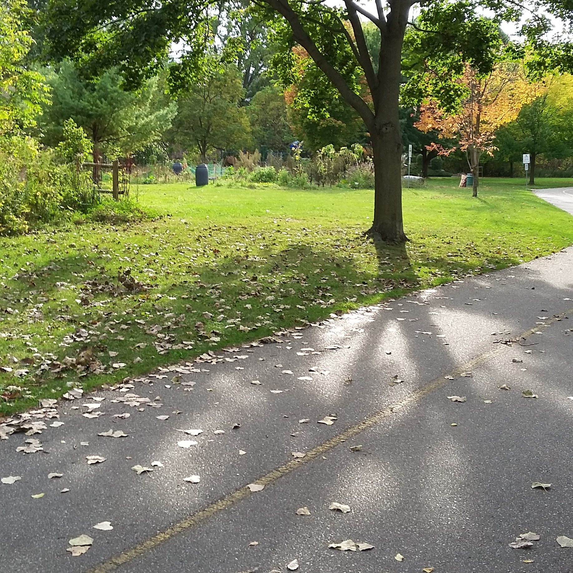 A view from the trail (foreground) of the community gardens beyond.