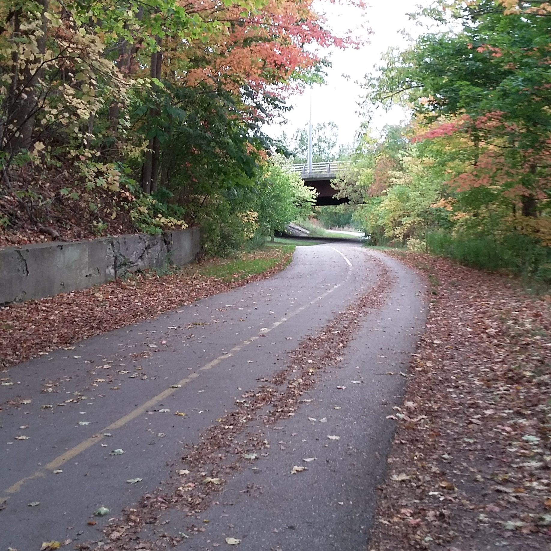 A trail with grass then trees on either side, heads under a vehicular bridge.