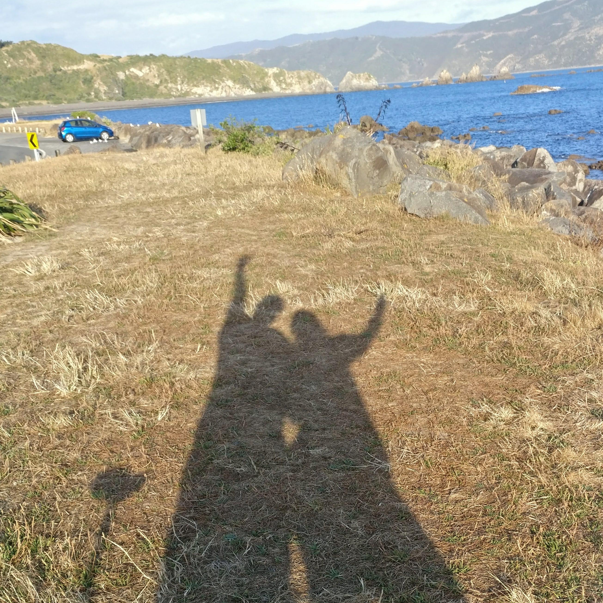 The shadow of two people with one arm around each other, their other arms raised in victory.