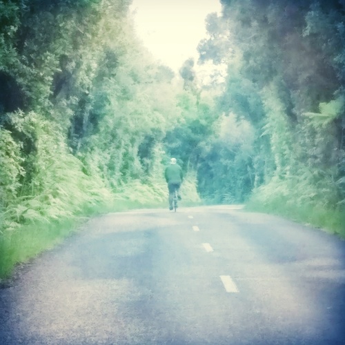 Ben rides away down a tree-lined path.