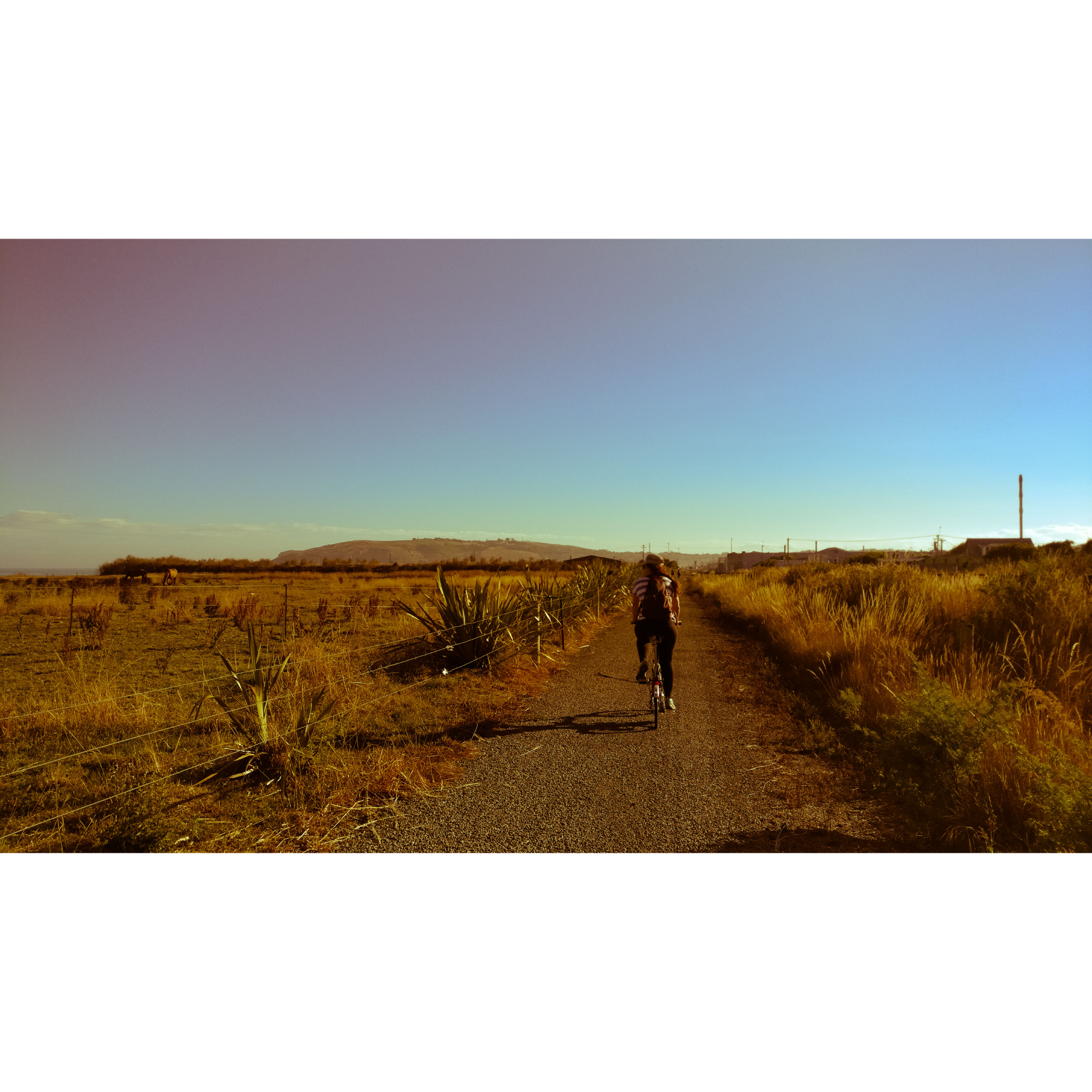 A desert view through with Caroline rides her Brompton.