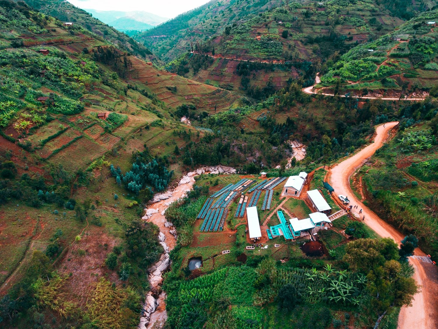 An arial view of the Shyira coffee farm